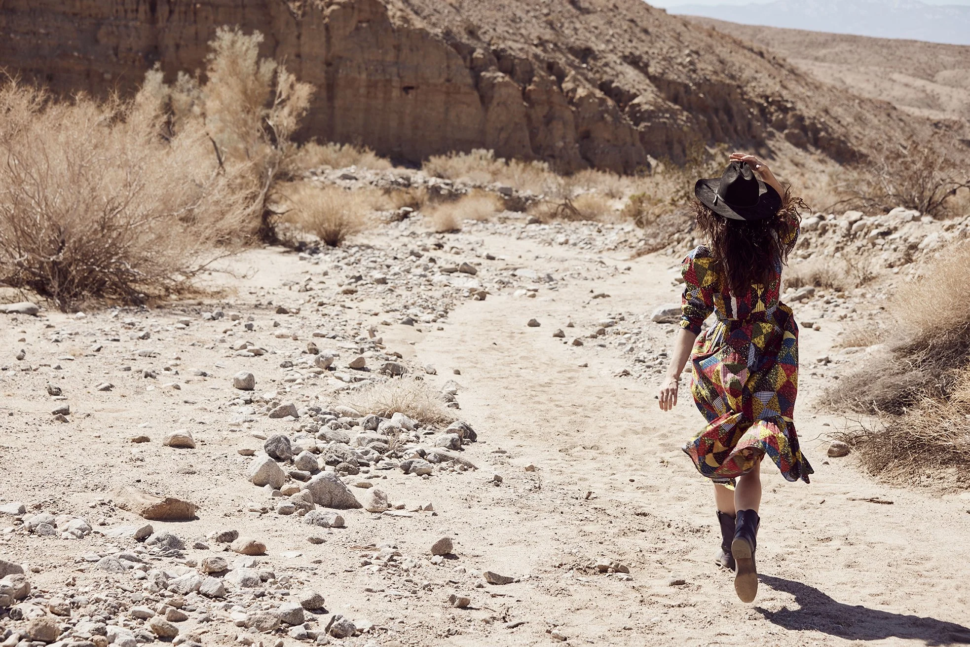 Wild_Desert_538 1.jpg