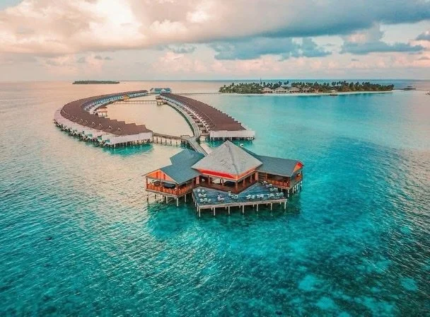 🌴✨ EXCLUSIVE OFFER - SAVE 50% AT THE STANDARD MALDIVES + FREE BOARD UPGRADE! ✨🌴 

Stay at The Standard, Maldives by Hyatt and enjoy an incredible 50% savings on September &amp; October 2026 stays, plus 35%-45% savings on other travel dates! 🎉🌊

✨