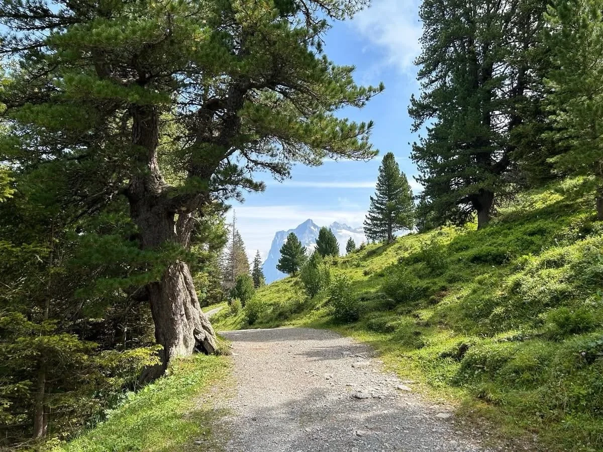 🔆 GRINDELWALD, SWITZERLAND 🔆

Escape to the spectacular Swiss Alps with a stay at the traditional Jungfrau Lodge Bed &amp; Breakfast in Grindelwald. With mountain views, a friendly atmosphere and walking trails right on your doorstep.

Jungfrau Lod