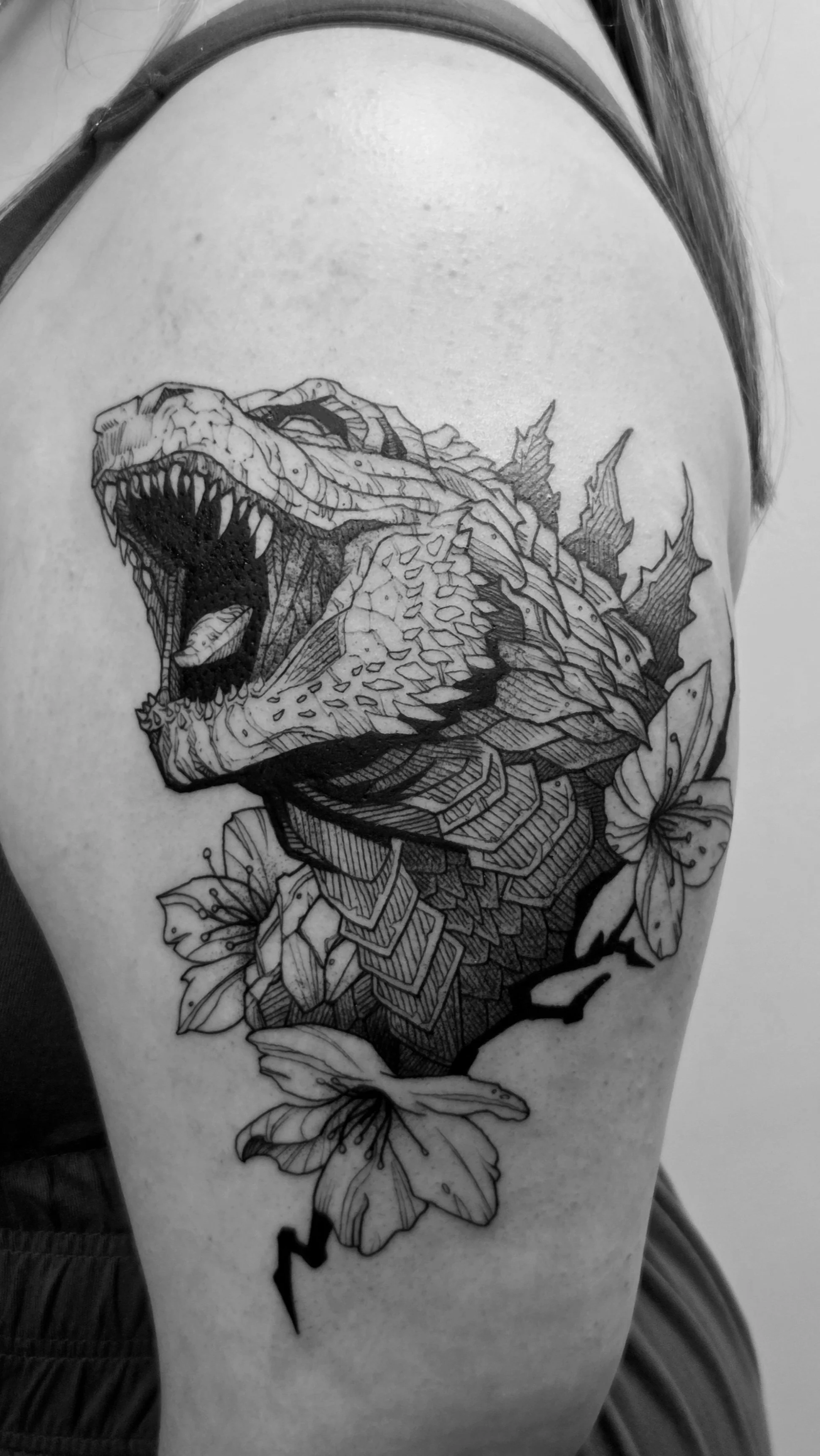 Godzilla.jpg
