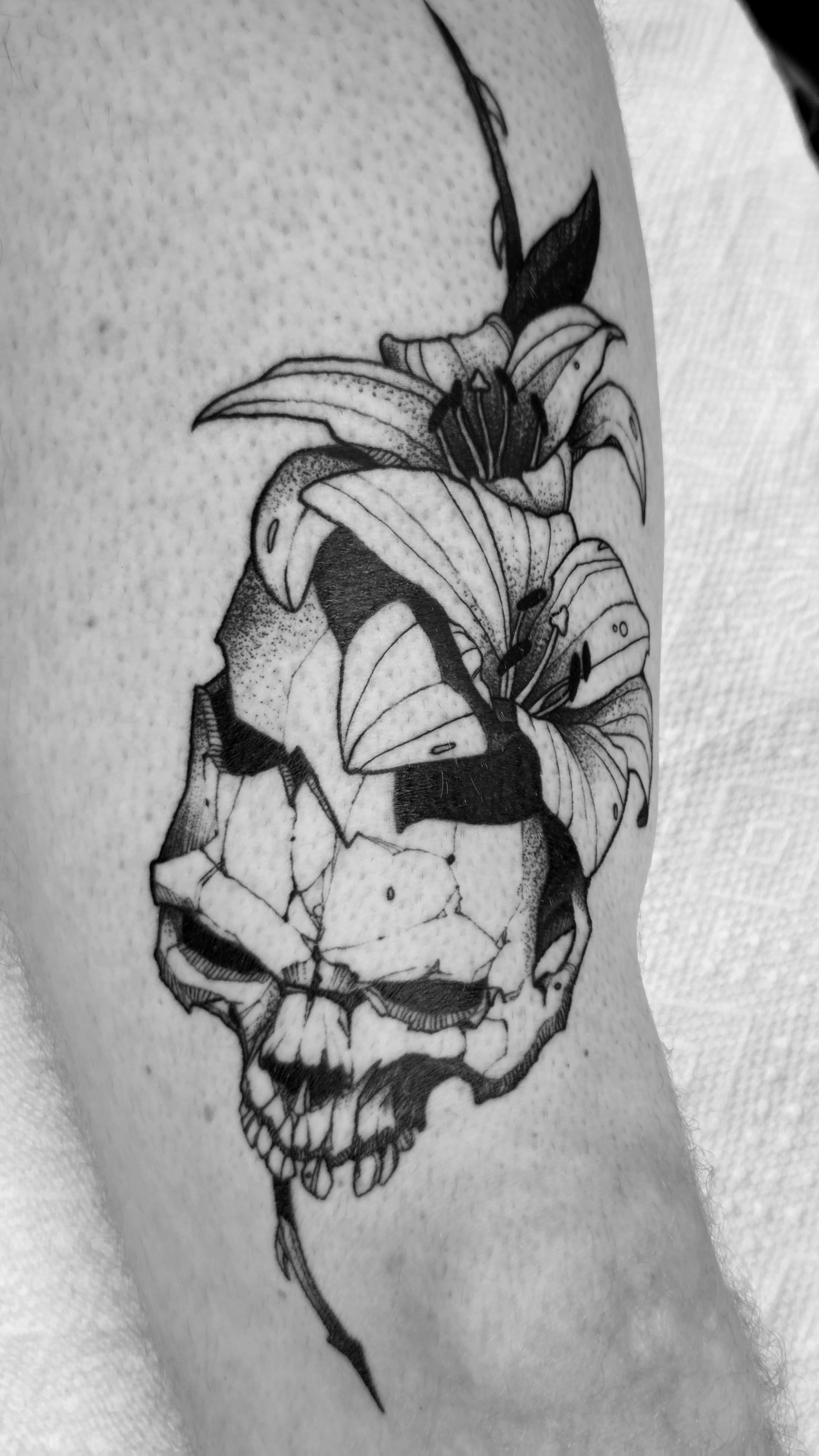 Lily skull.jpg