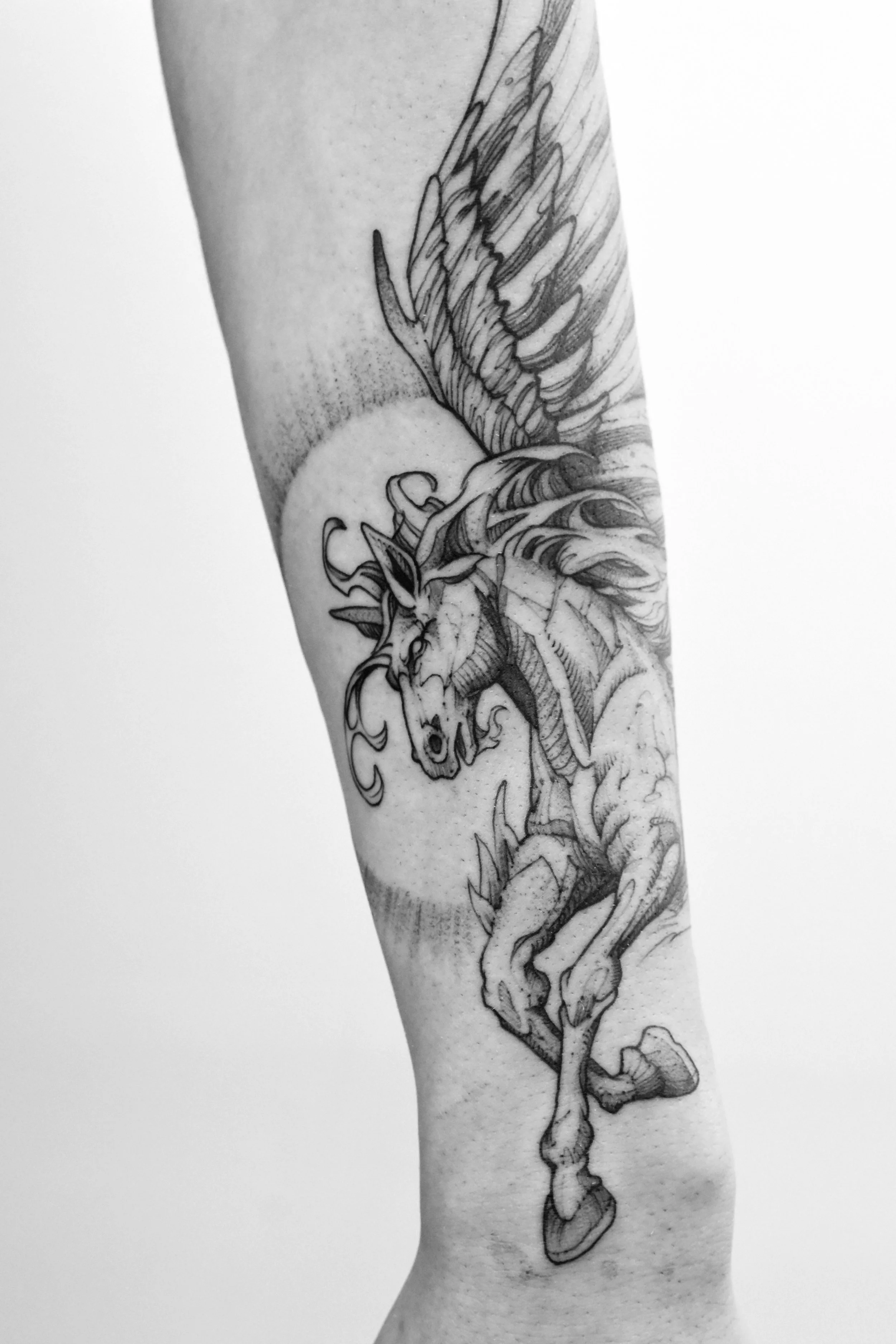 Pegasus.jpg