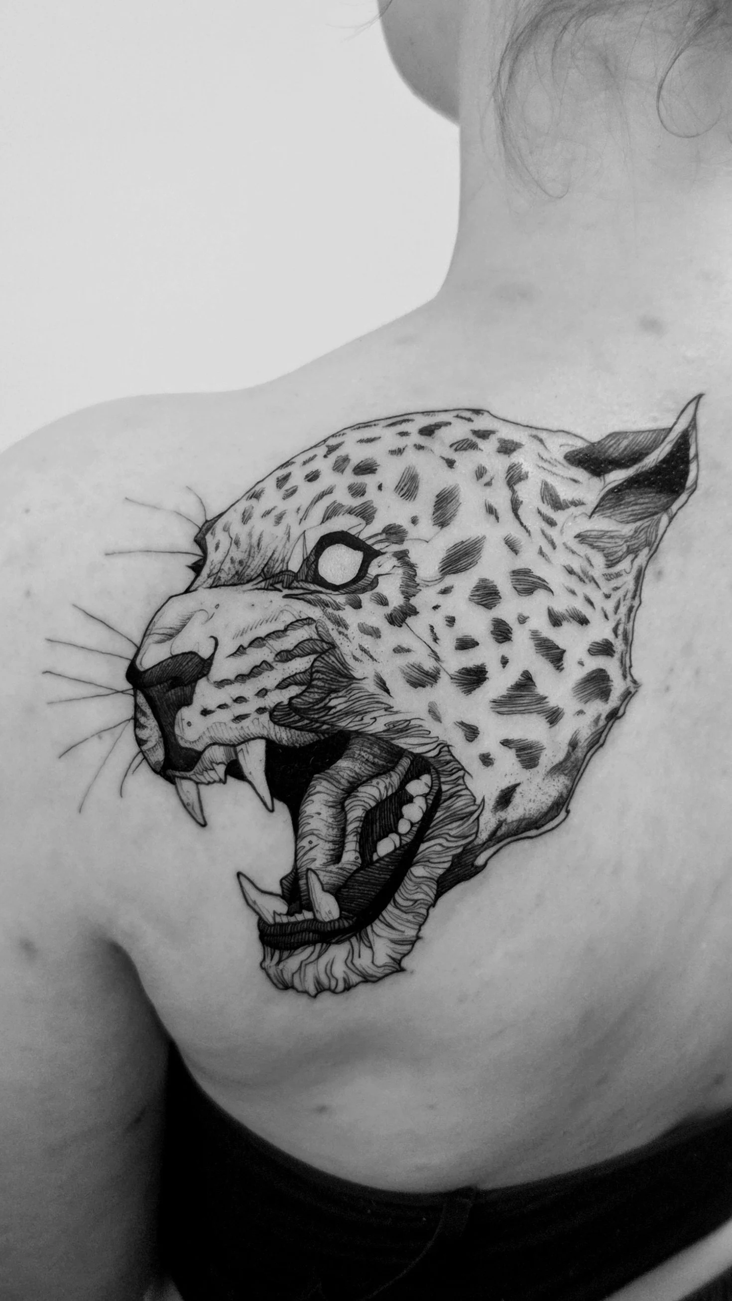 Jaguar.jpg