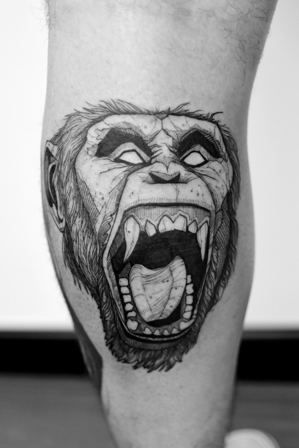 Screaming monkey_.jpg
