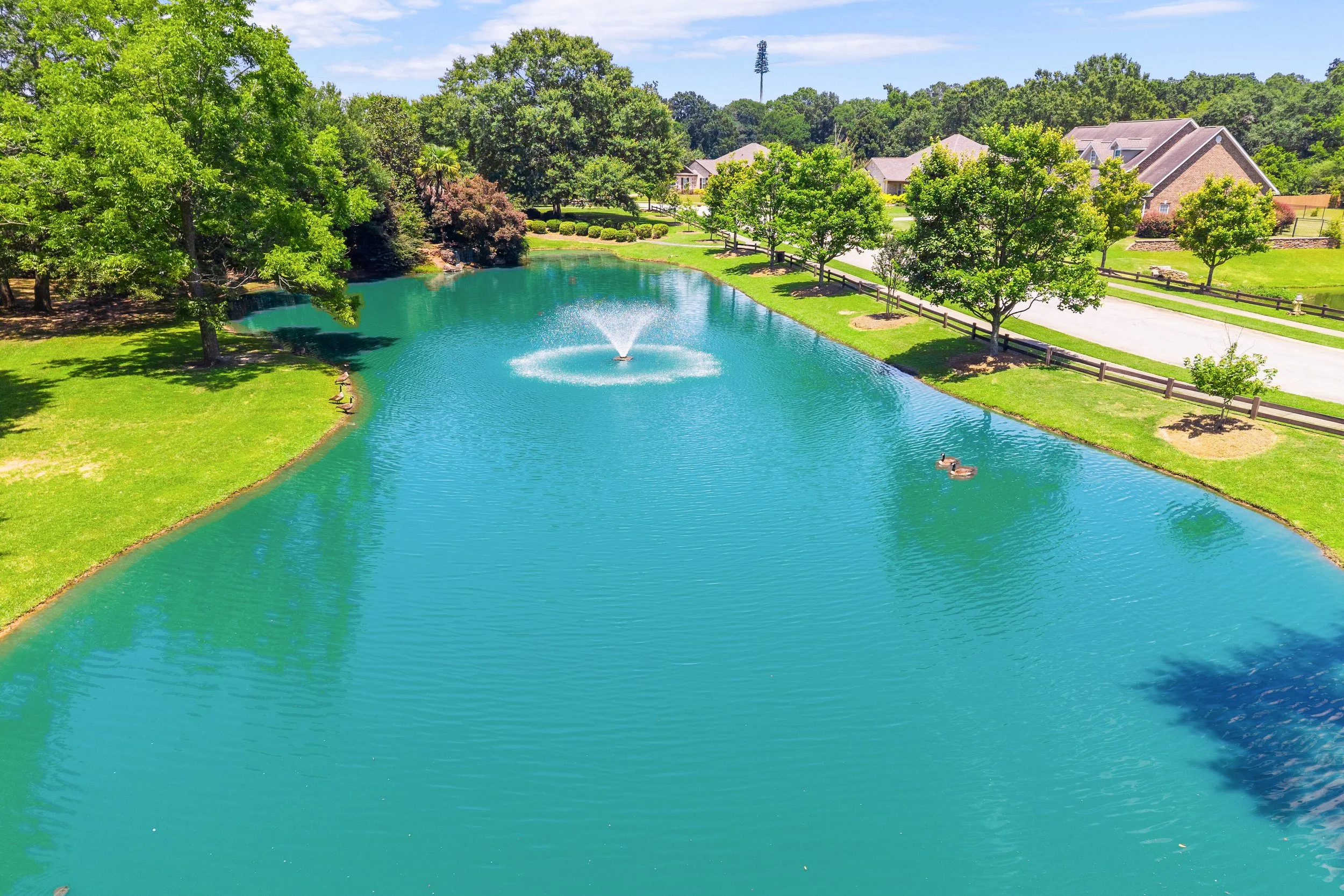 66_DJI_20260605143532_0746_D_mls.jpg