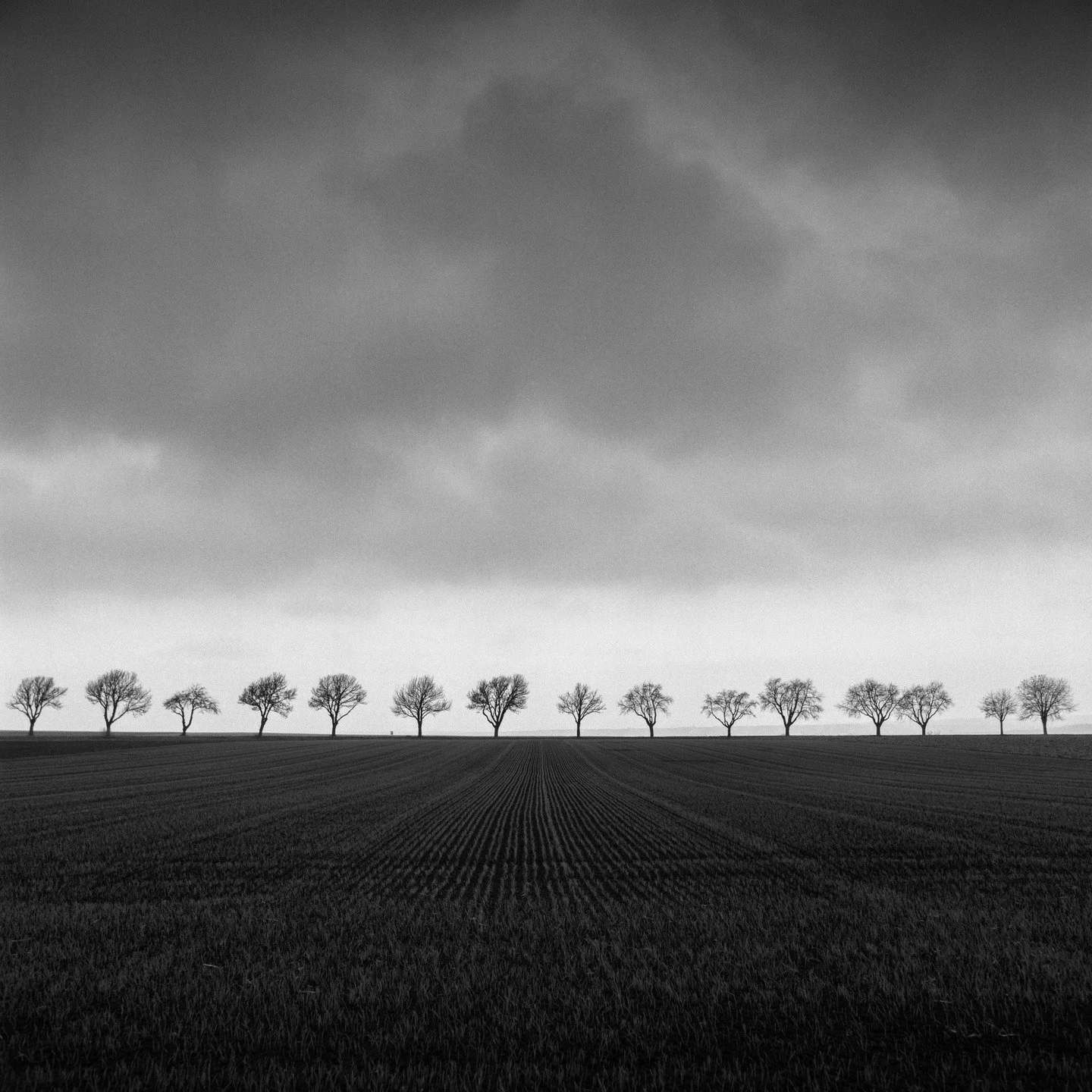 cherry trees. study#1
Austria, 2019

I had been searching for tree lines for ages when a photographer I know, who is actually really good, showed me this spot. The funny thing is that I had been driving past it for four years, always just one or two 