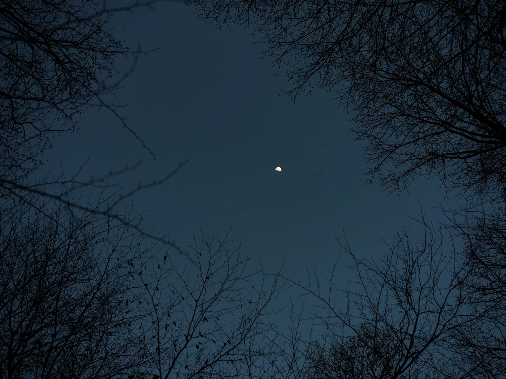 the moon
austria, 2026

If you didn&rsquo;t know yet, Artemis II will soon fly around the Moon, and a couple of years later Artemis III will put people back on the Moon.

This is an incredibly impressive feat. Sometimes I wonder whether the people do