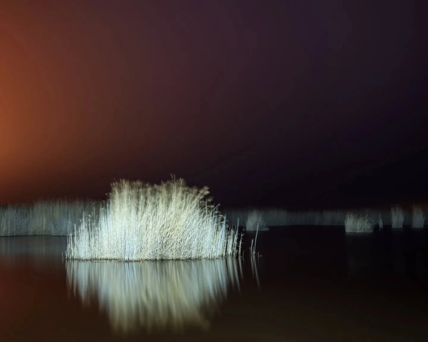 Neusiedler See
Austria 2026

#landscapephotography #neusiedlersee #mediumformat #hasselblad #austria