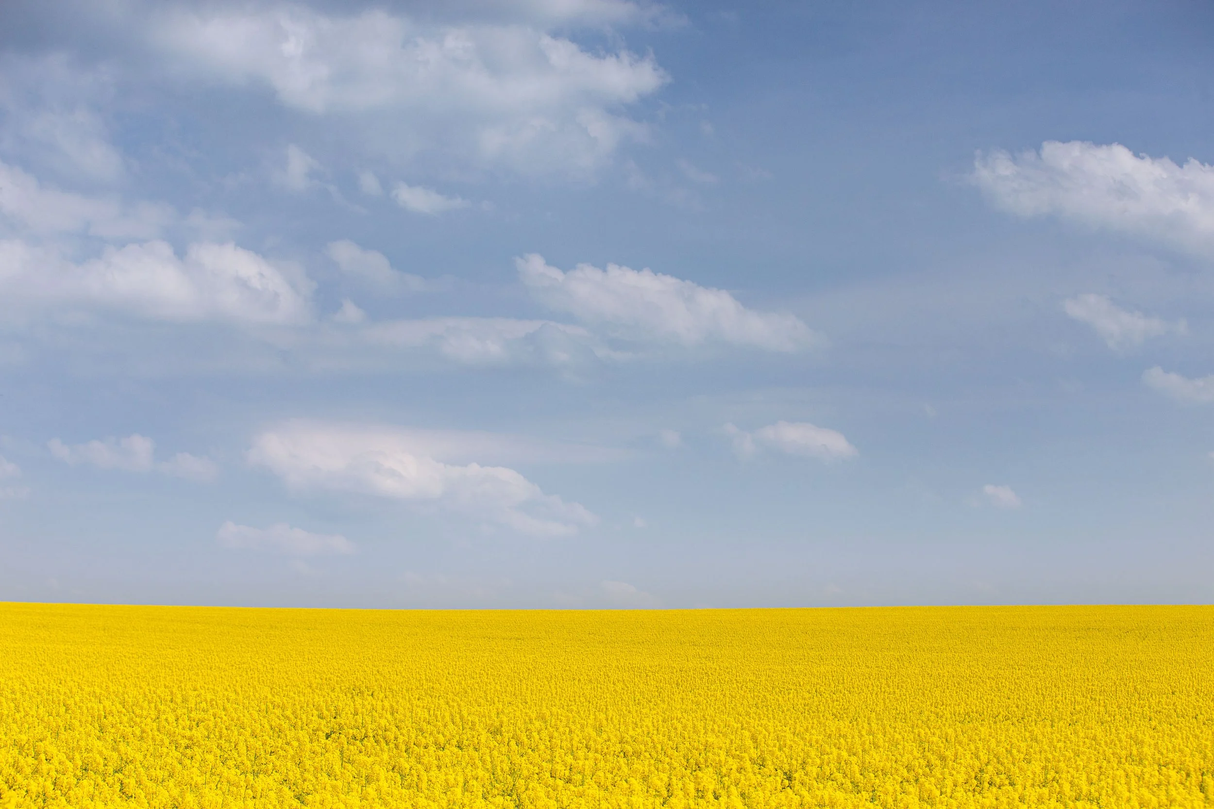 raps 1
60 x 40 cm - limitierte Auflage von 9 
