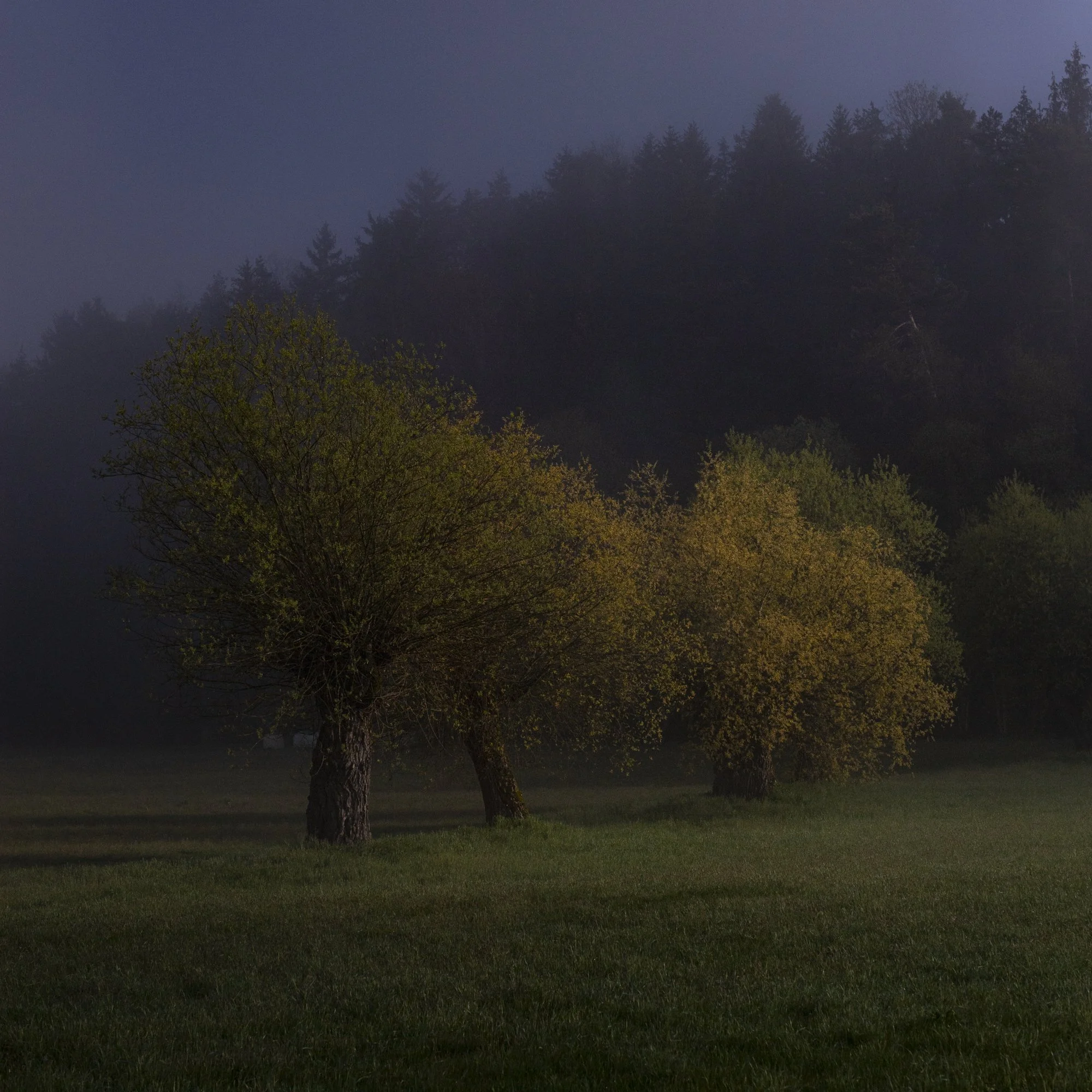 _D5D3518.jpg