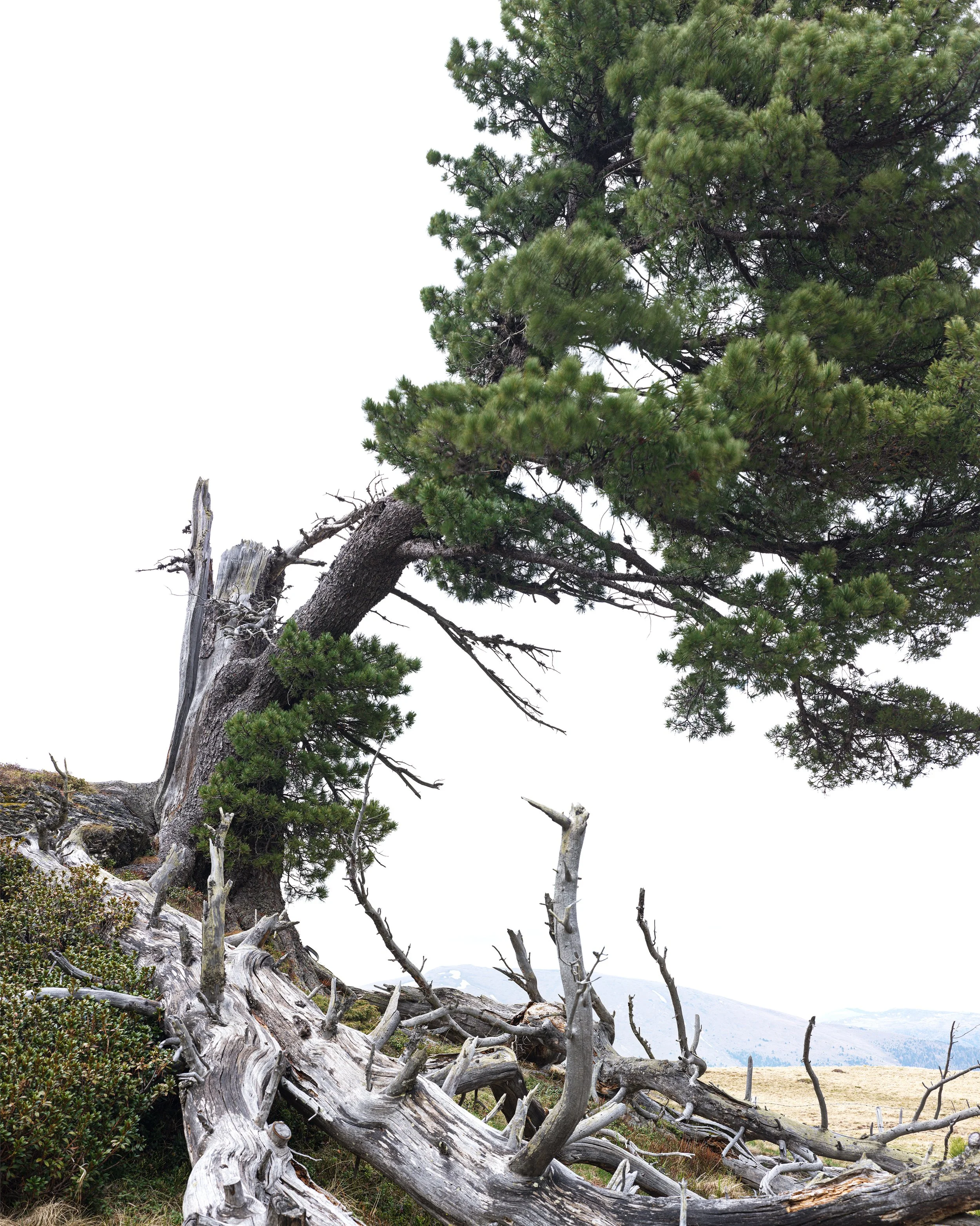 Unbenanntes_Panoramae22a-1.jpg