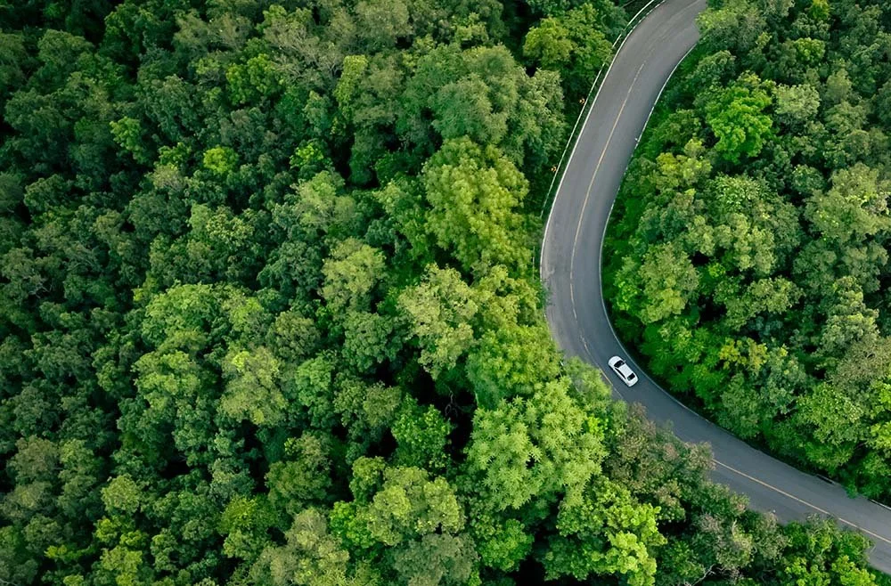 aerial road - hickory (lo).jpg