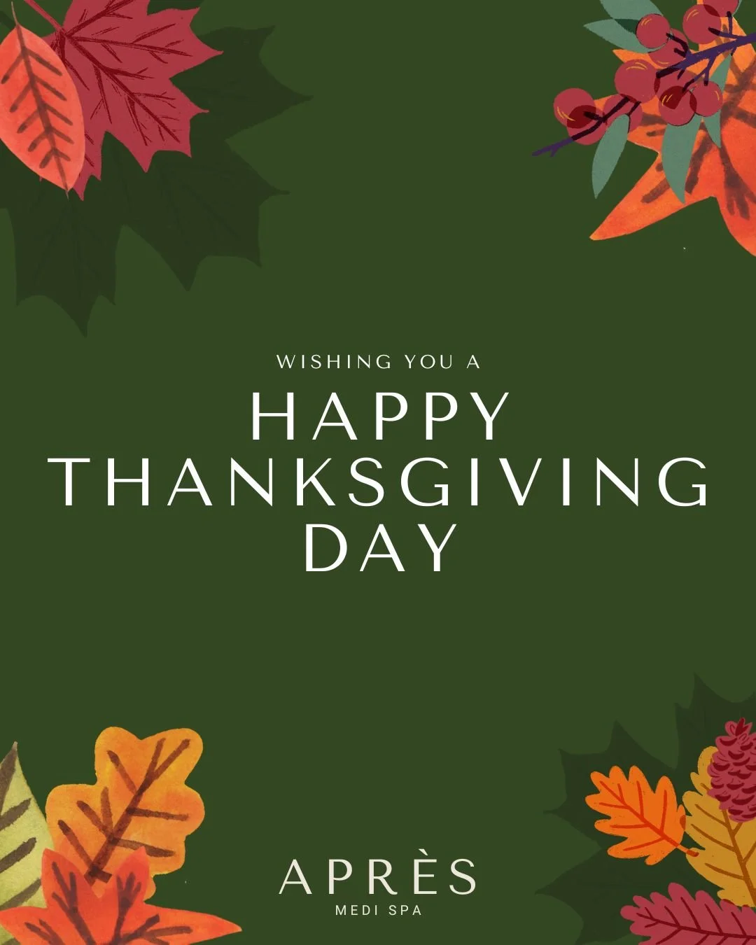 Grateful today and every day for this beautiful community we get to care for. Wishing you a cozy, restorative Thanksgiving from all of us at Apr&egrave;s Medi Spa. 🤎✨

#apresmedispa #apresway #apresmedspa #apresNY #catskillNY #Apres #luxuryspa #apre