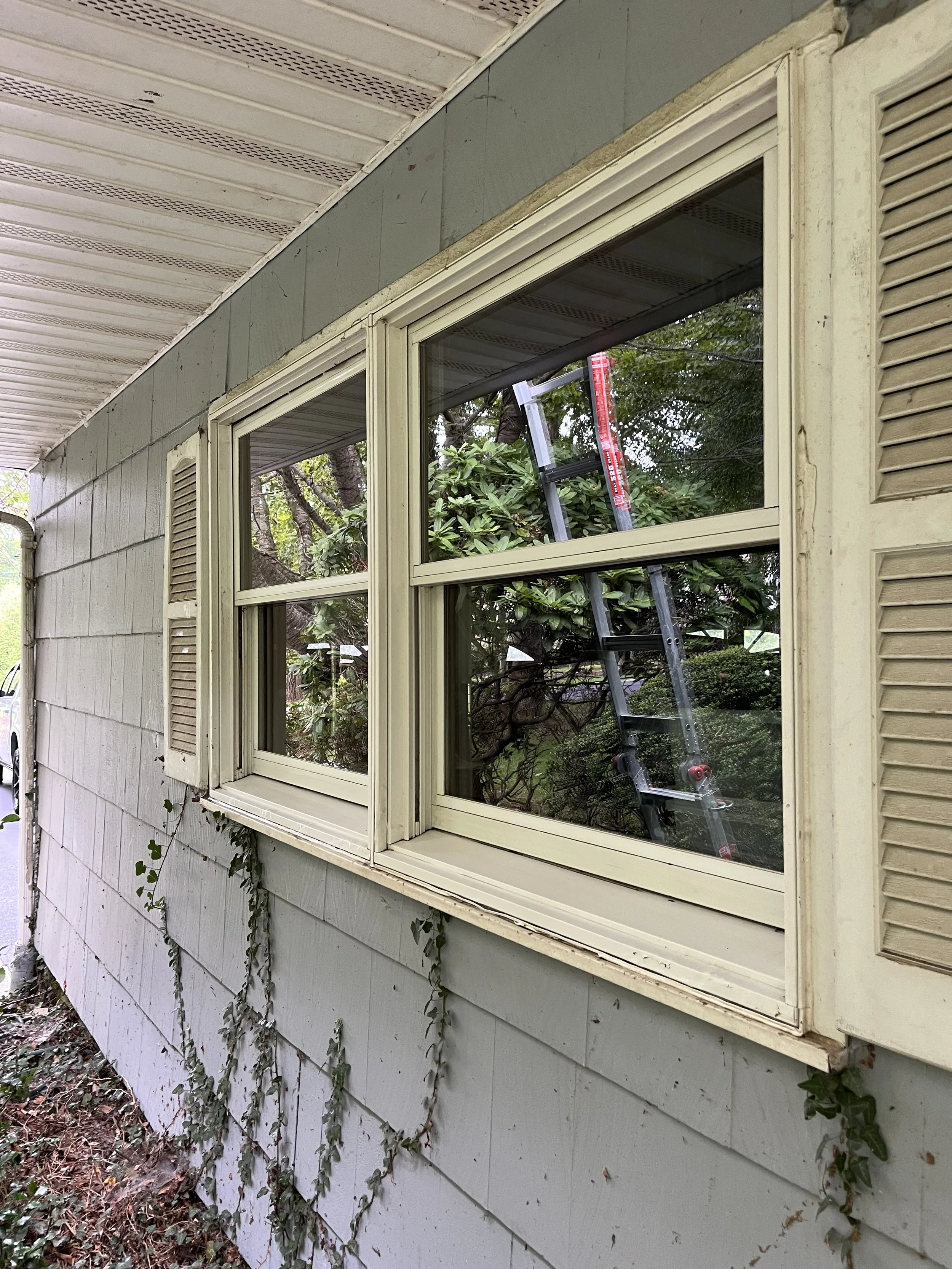 The image shows the exterior of a house with green siding, a white porch ceiling, and a large window with a white frame. There is a ladder visible through the window, and the house has decorative shutters next to the window. Ivy plants are growing al