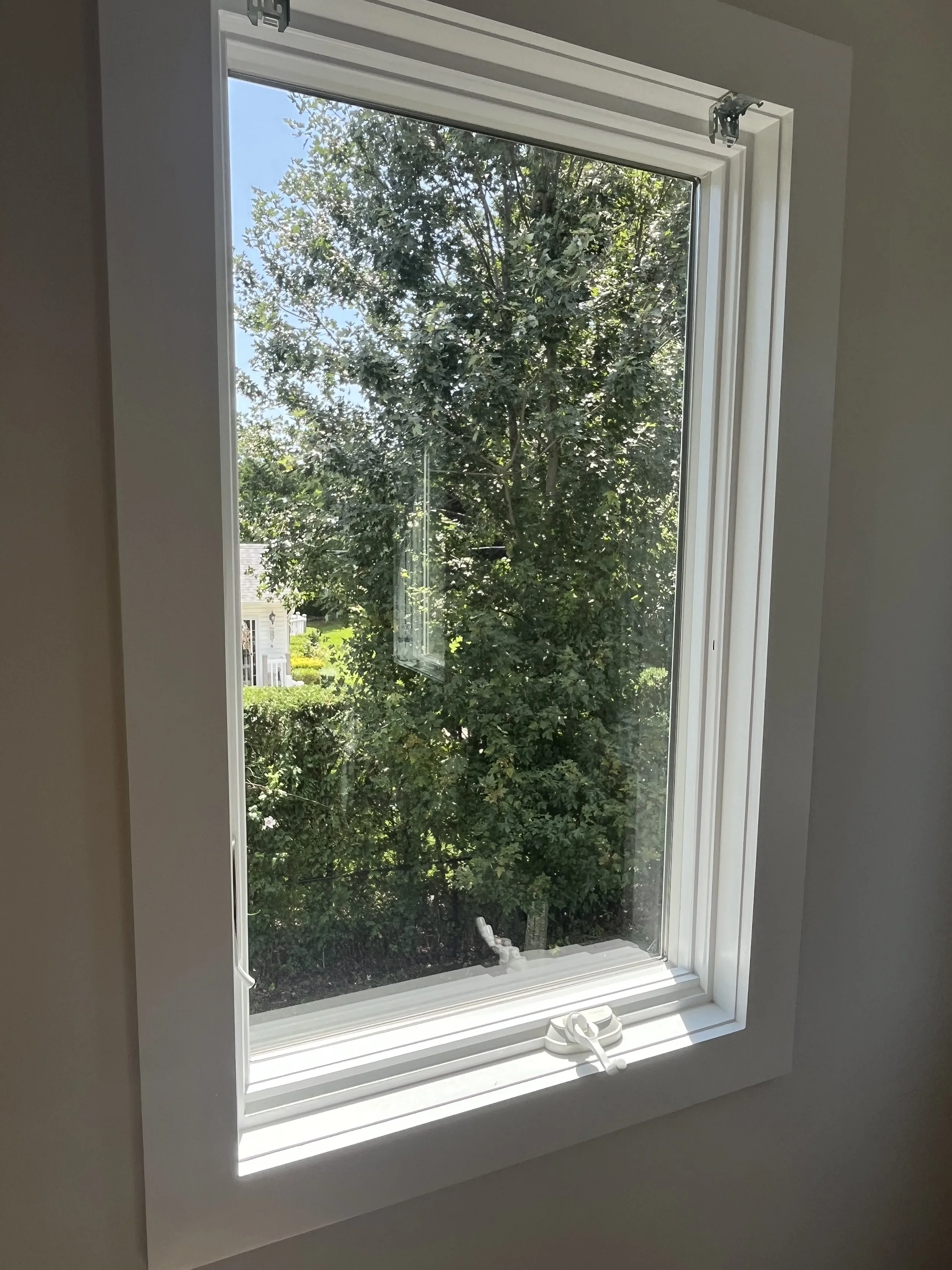 View through a window with white frame and window sill, showing a large leafy tree and a house in the distance on a sunny day.