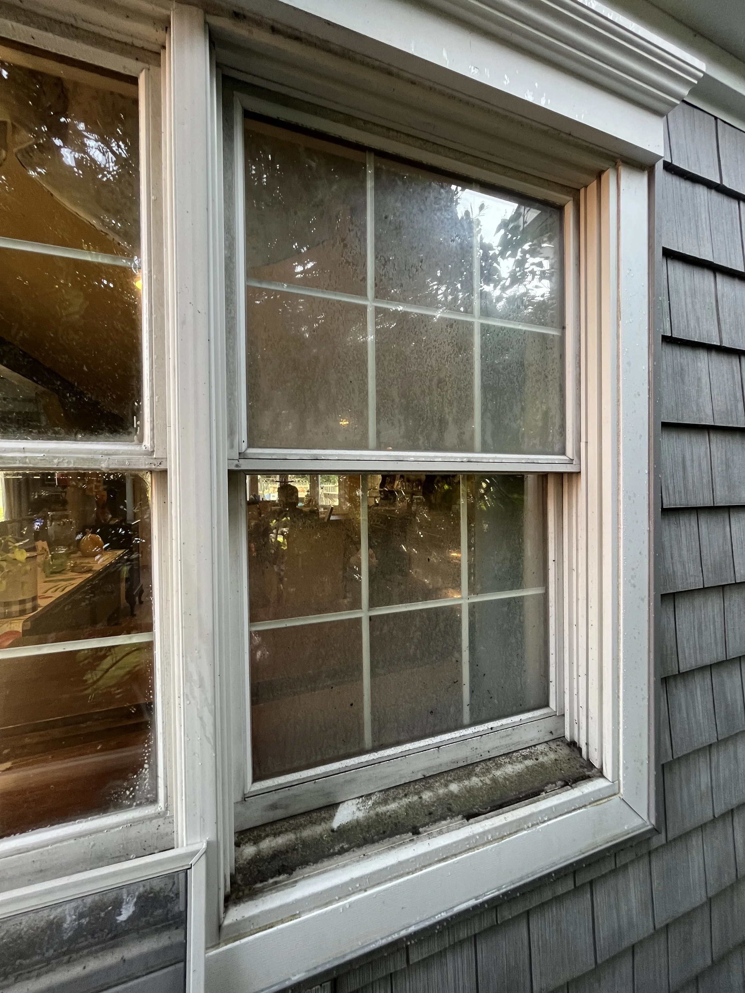 A close-up of a messy, dirty exterior window with a white frame on a house with dark shingle siding. The window has several panes, some of which are cloudy or stained, and there is moss or grime along the bottom edge of the window frame.