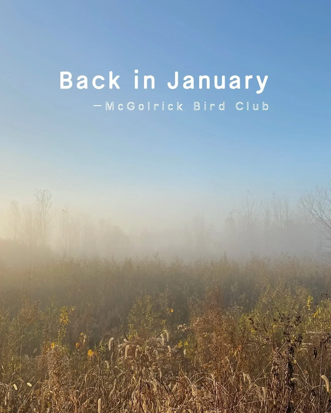 See you Saturday, January 3rd.

This year we noticed 88 bird species during our @mcgolrickpark outings: 

American Crow &bull; American Goldfinch &bull; American Kestrel &bull; American Redstart &bull; American Robin &bull; American Woodcock &bull; B