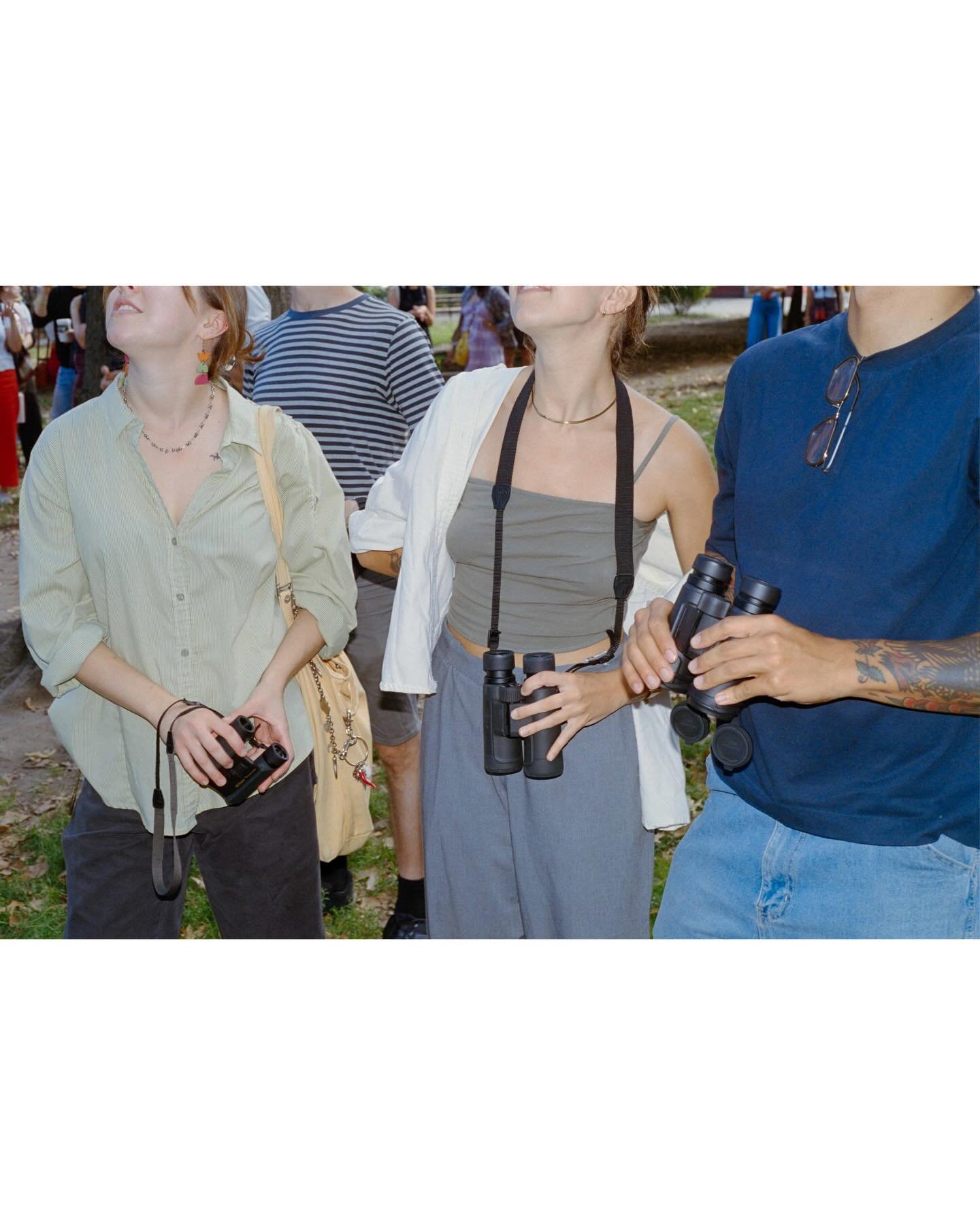 Every Saturday at 9am, Brooklynites gather in a small neighborhood park and wake up.

Hawks hunt. Corvids call. Woodpeckers kiss trees. Most of it would go unwitnessed without binoculars &mdash; the simple tool that turns distant movement into someth