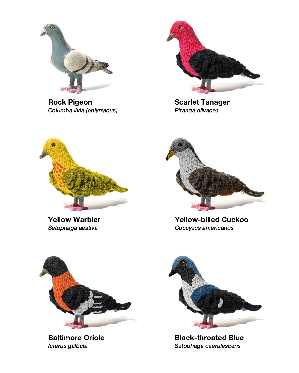 In &ldquo;Biodiversity Reclamation Suits for Urban Pigeons,&rdquo; artist Laurel Roth Hope crocheted tiny &ldquo;sweaters&rdquo; for pigeons modeled after extinct and endangered bird species &mdash; using one of the world&rsquo;s most overlooked urba