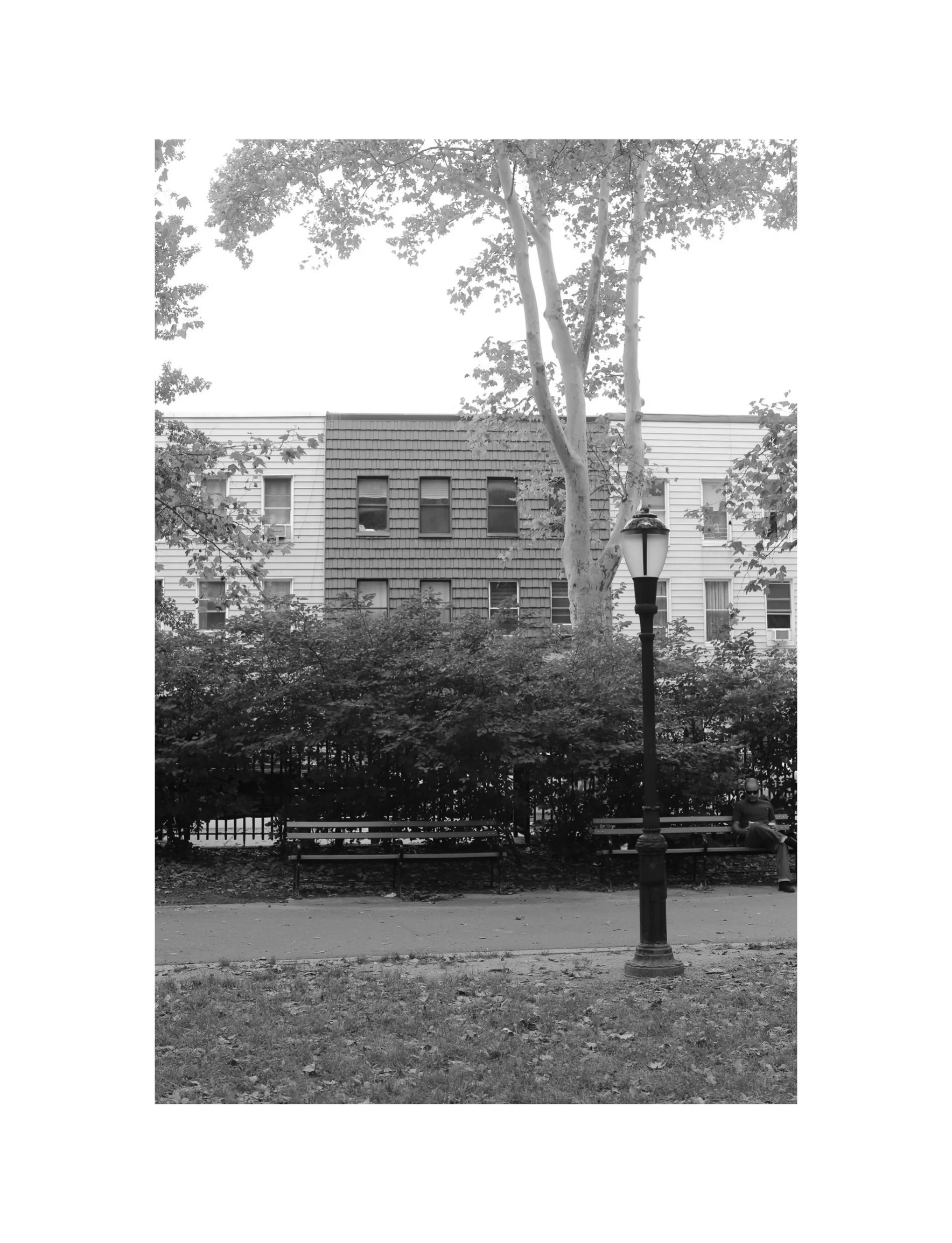 Birdwatching turns even the humblest physical spaces into sanctuaries of attention.

Photos by @edbrookline 🙏

Reminder: We&rsquo;re field-tripping tomorrow with @gorpgirls. Check their site for more info.

See you back in @mcgolrickpark on 9/5.