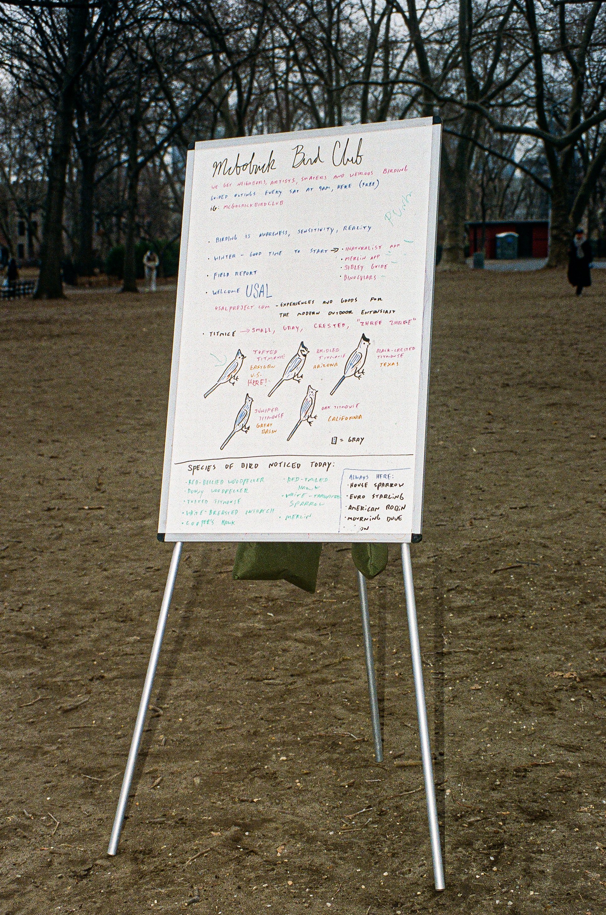 kodak_professional_portra_400_01_18_2025_000212160024_Original.jpeg