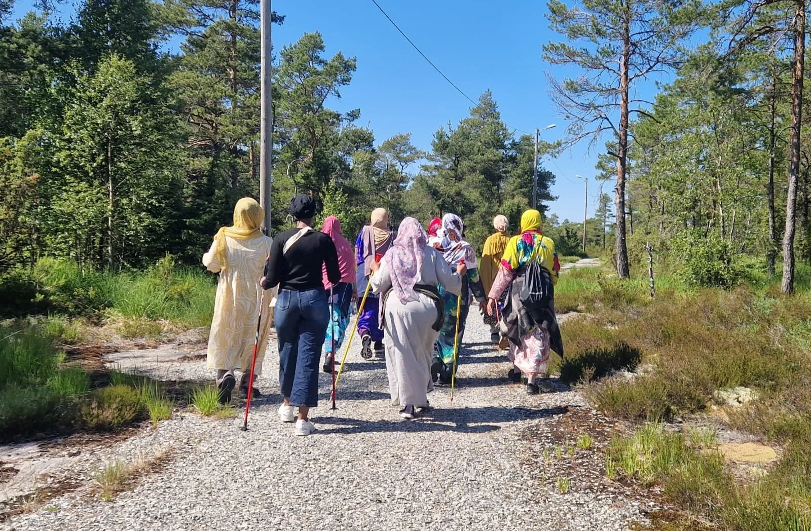 Group of women walking on a gravel trail through a forested area on a sunny day.