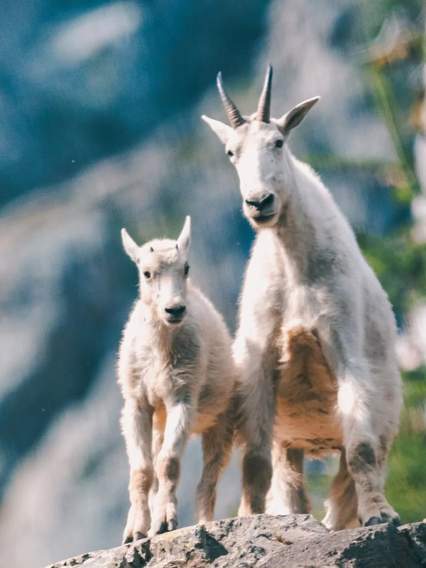 Im so behind on editing and posting. This was North Cascades National Park last summer. This park quickly became one of my favorites.