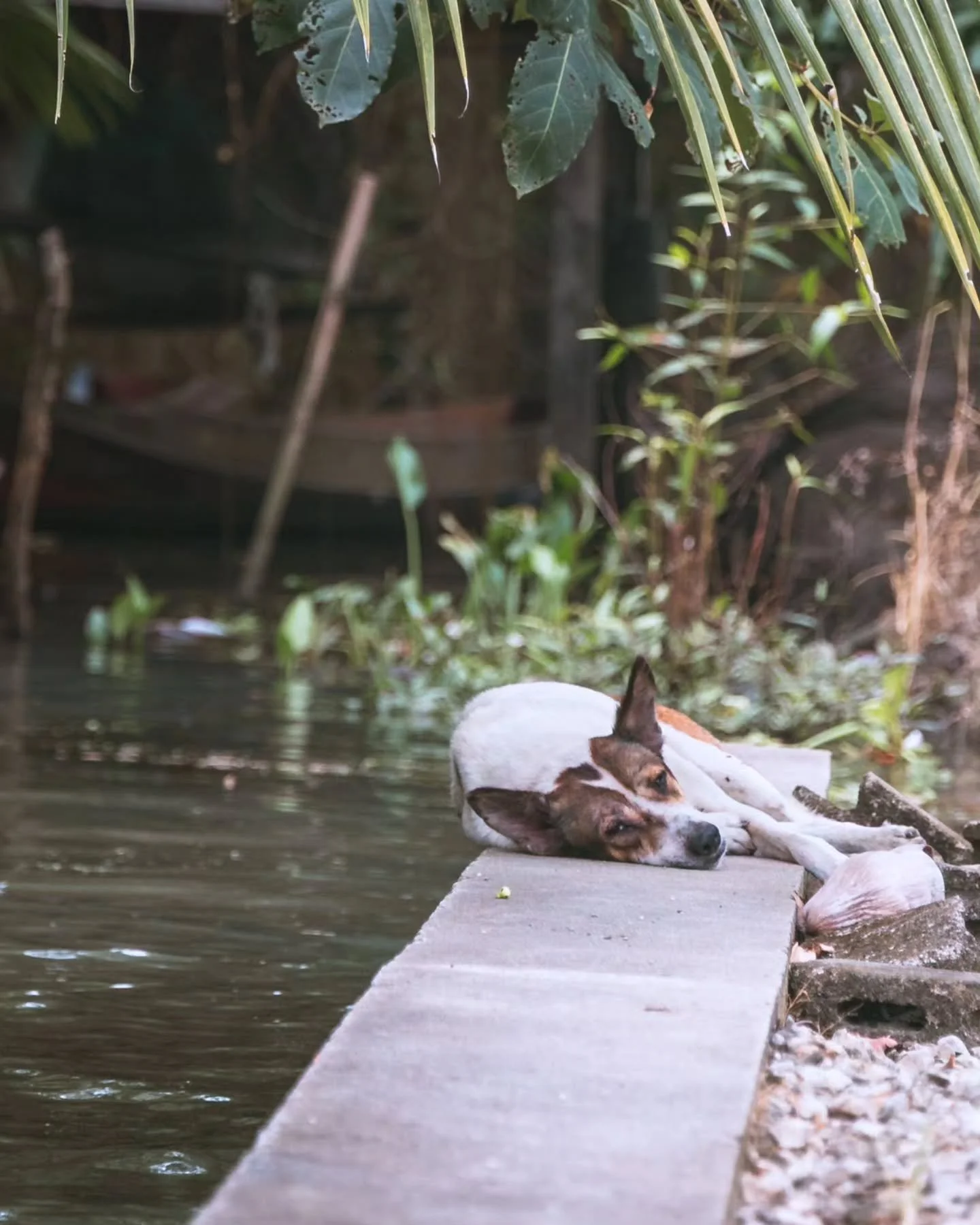 Tour outside of Bangkok, Thailand
● Train Market
● Floating Market
● Atutthaya