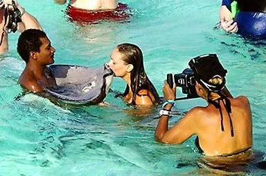 grand cayman stingrays.jpg