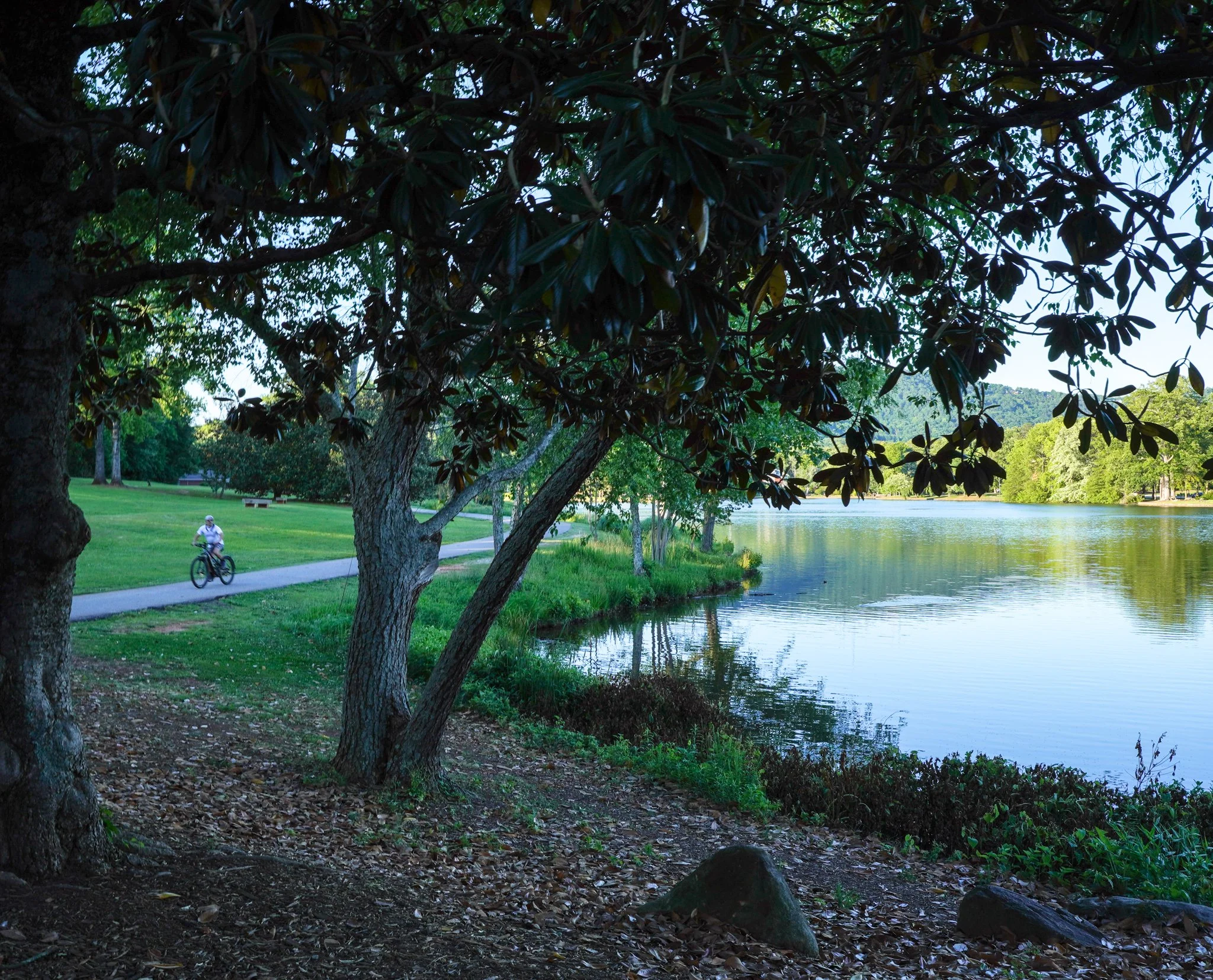 Visit Travelers Rest - Furman University Campus.jpg