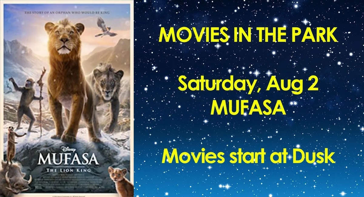 Movies In The Park
