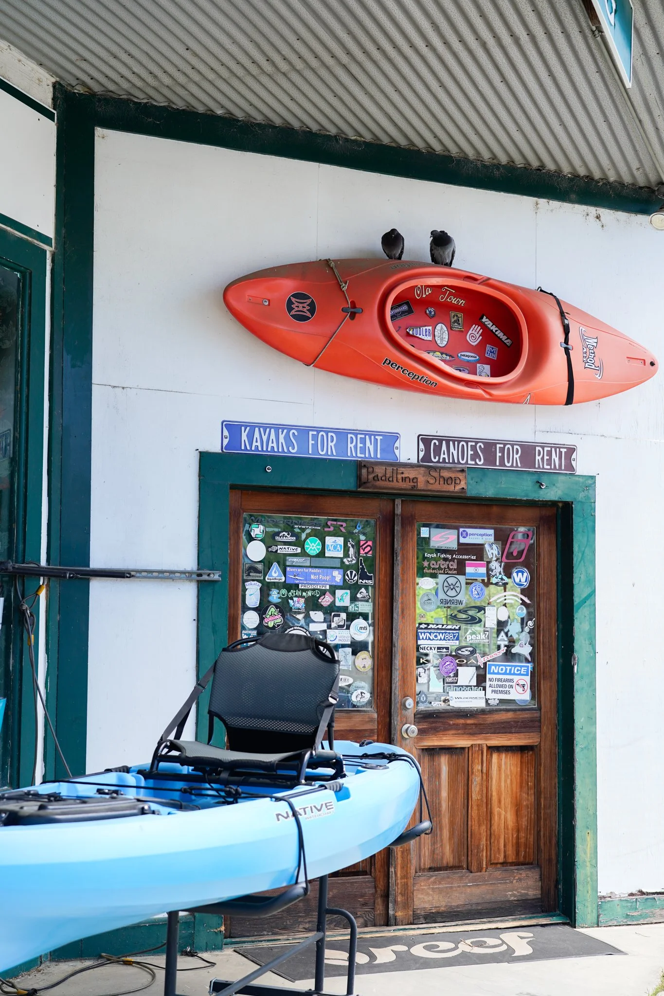 Paddle Your Way Through the Upstate: Kayaking Near Travelers Rest, SC