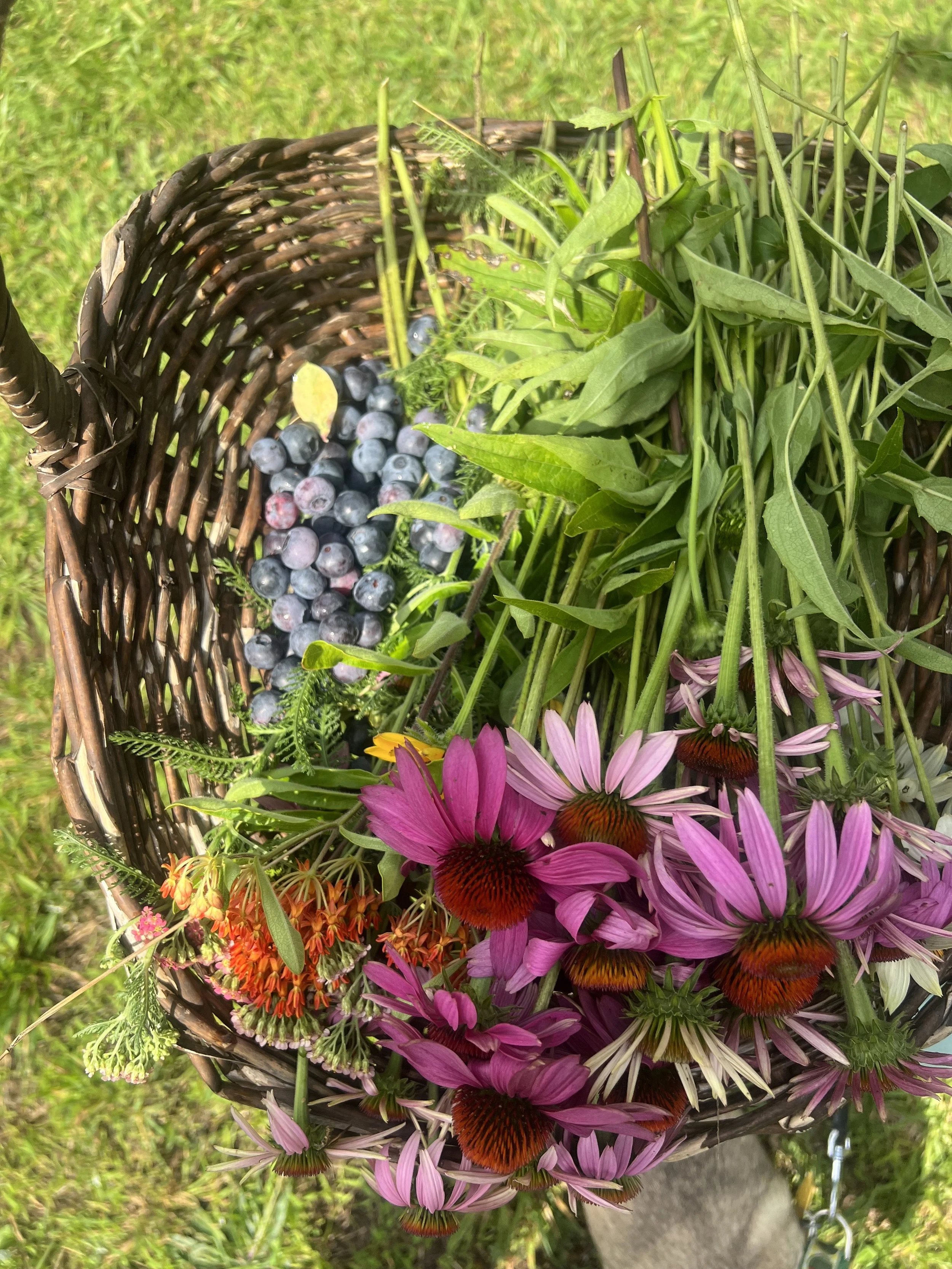 U-Pick Flower Farms Near Travelers Rest This Summer