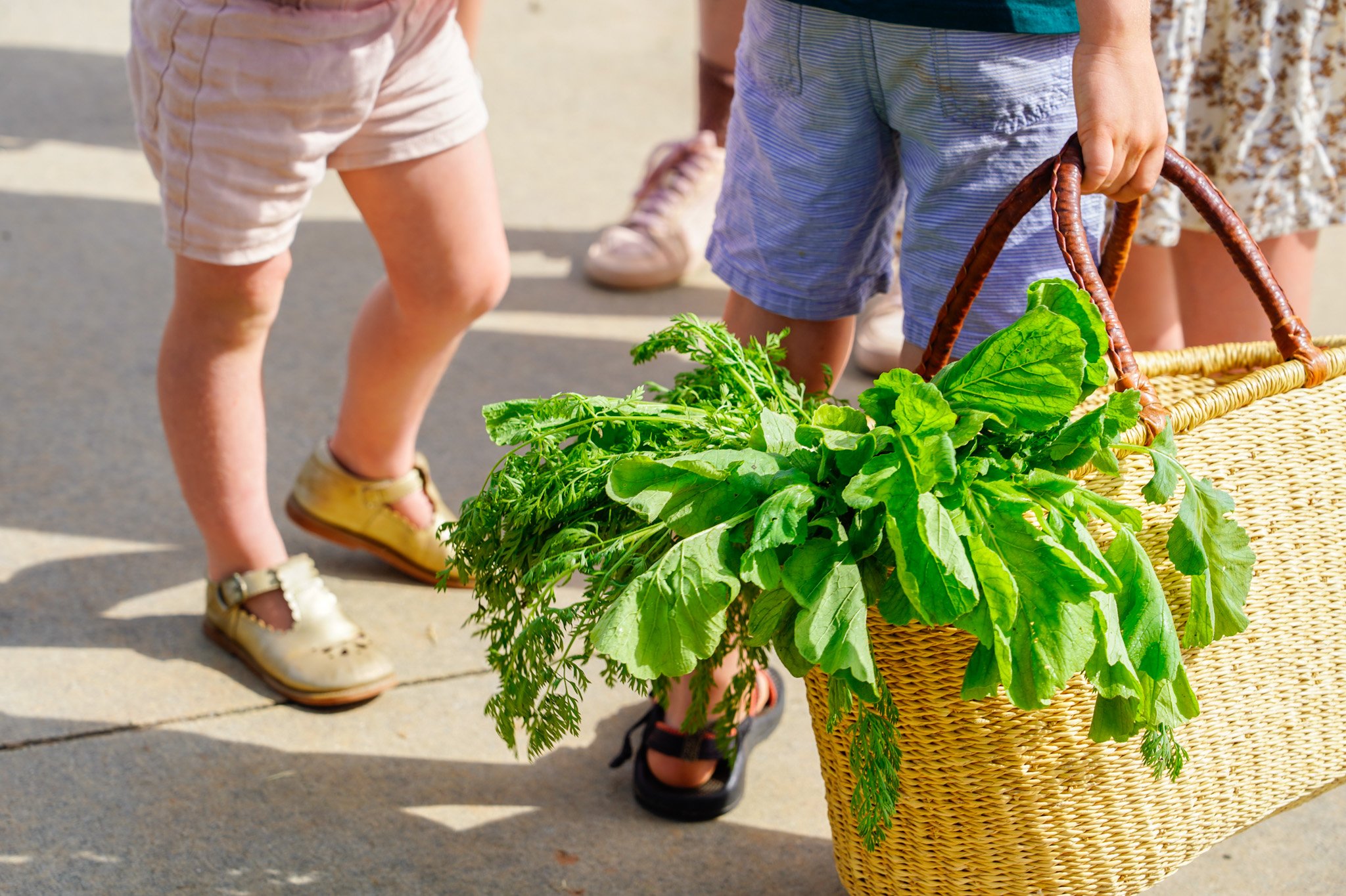 Family-Friendly Summer Bucket List in Travelers Rest, SC