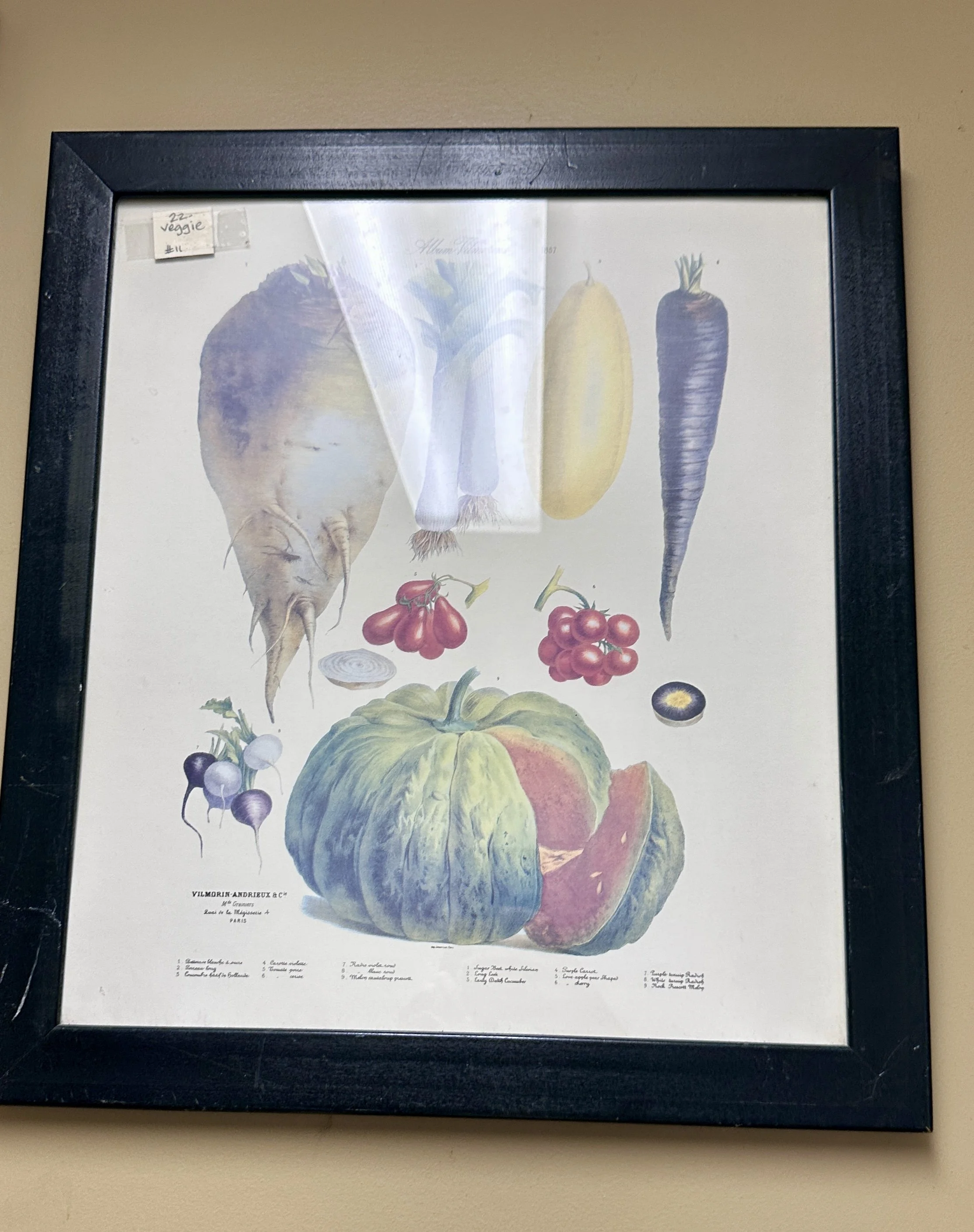antique-shopping-in-greenville-sc.jpg