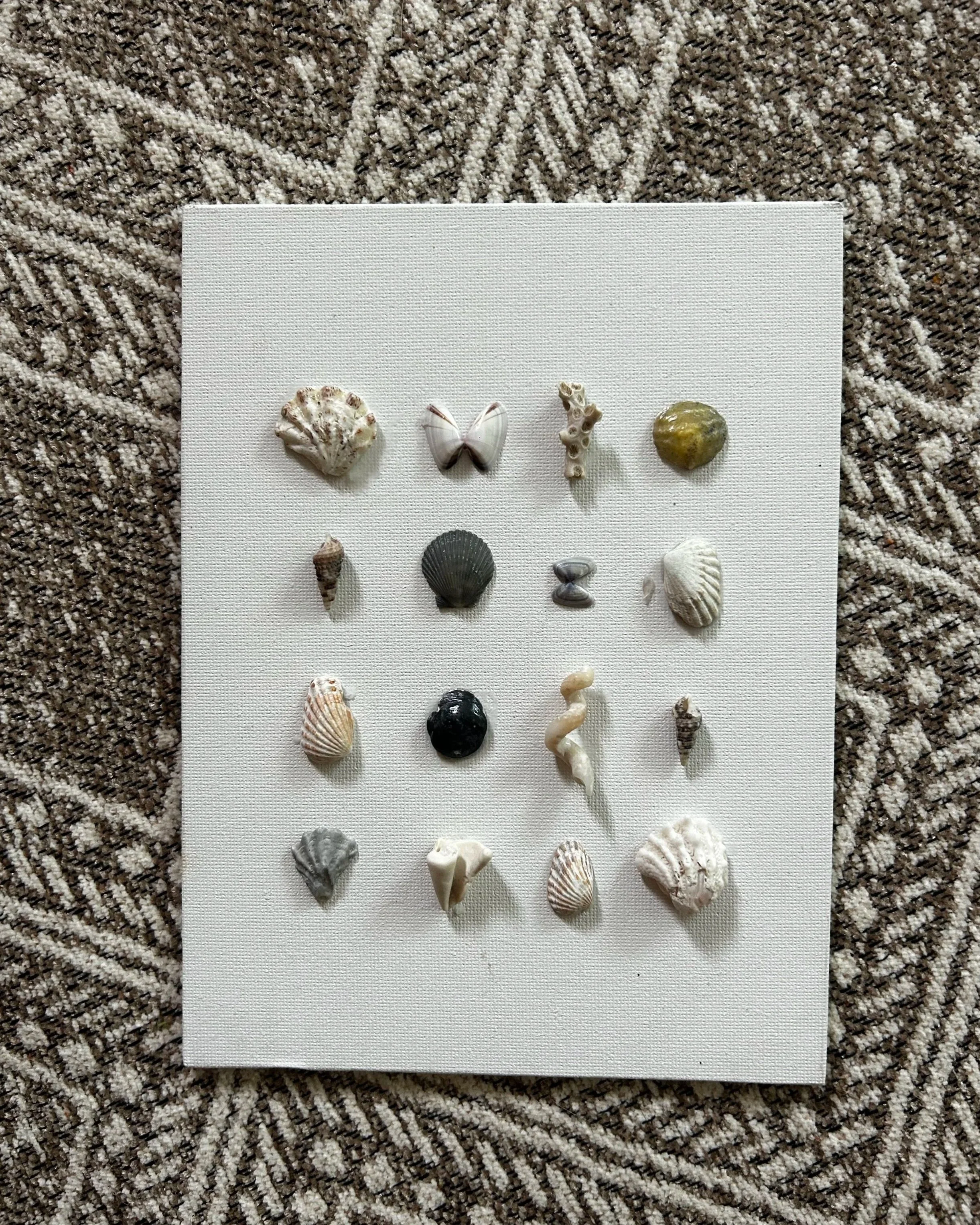 Hande-Made Shell Canvas