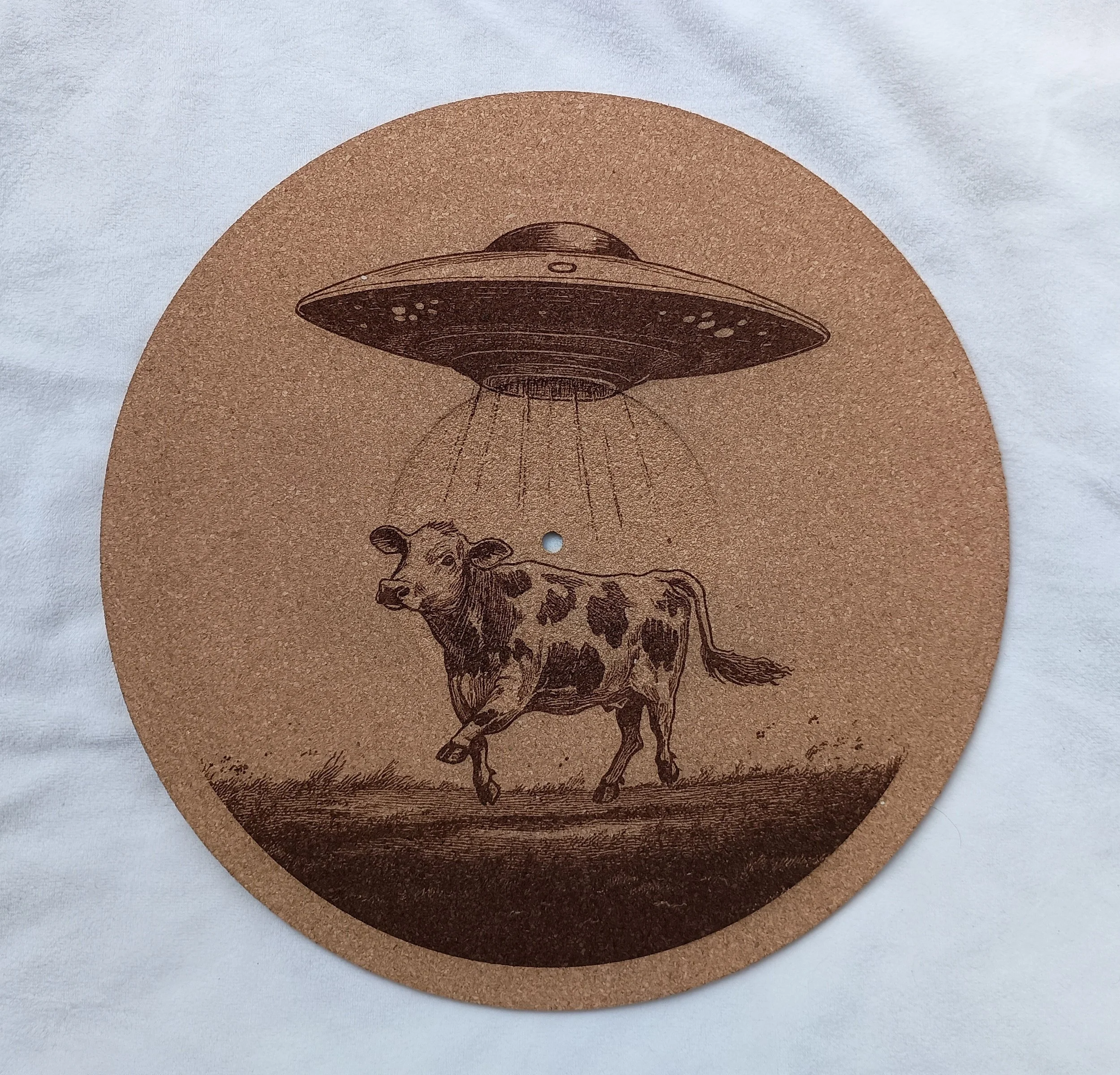 UFO Abduction