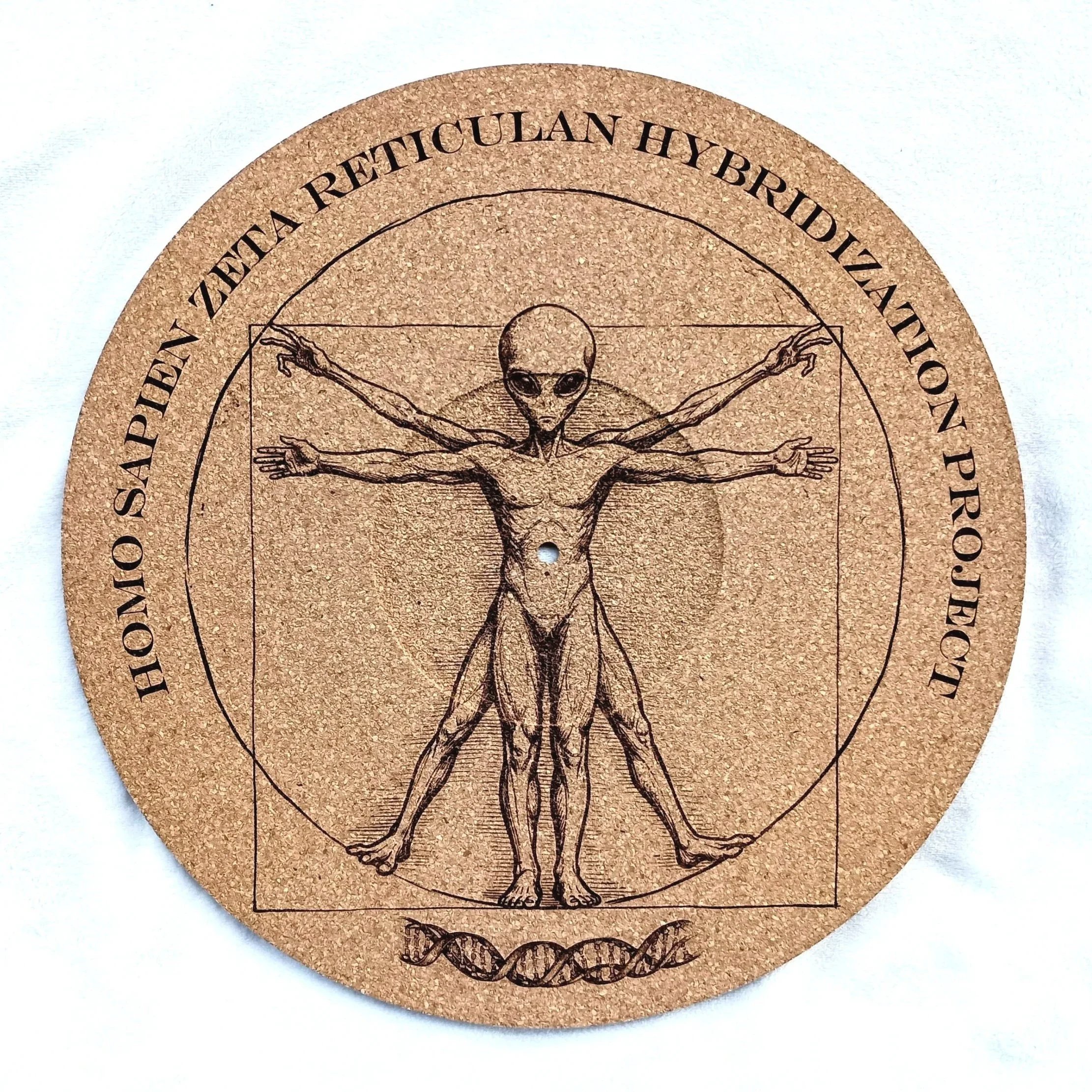Human-Grey Alien Hybrid