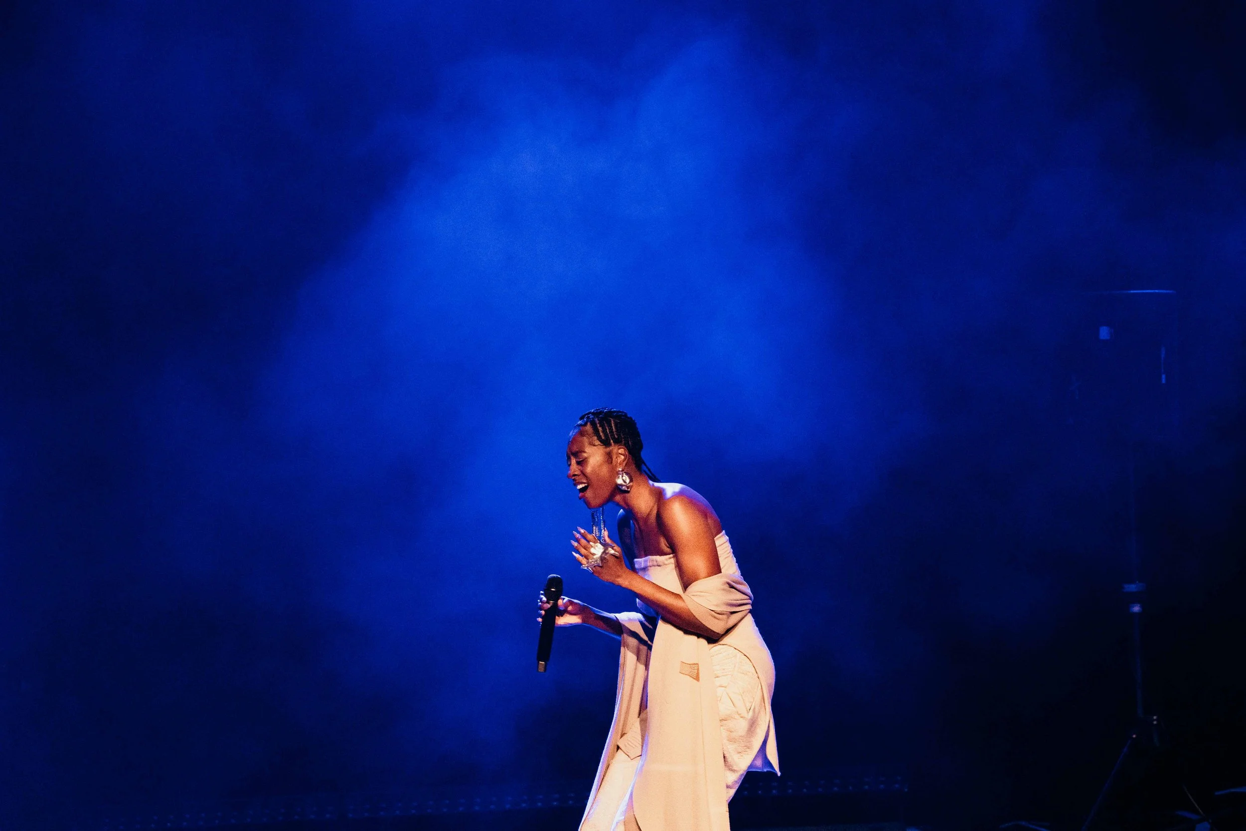 Anaiis upload (1 of 1)-3.jpg