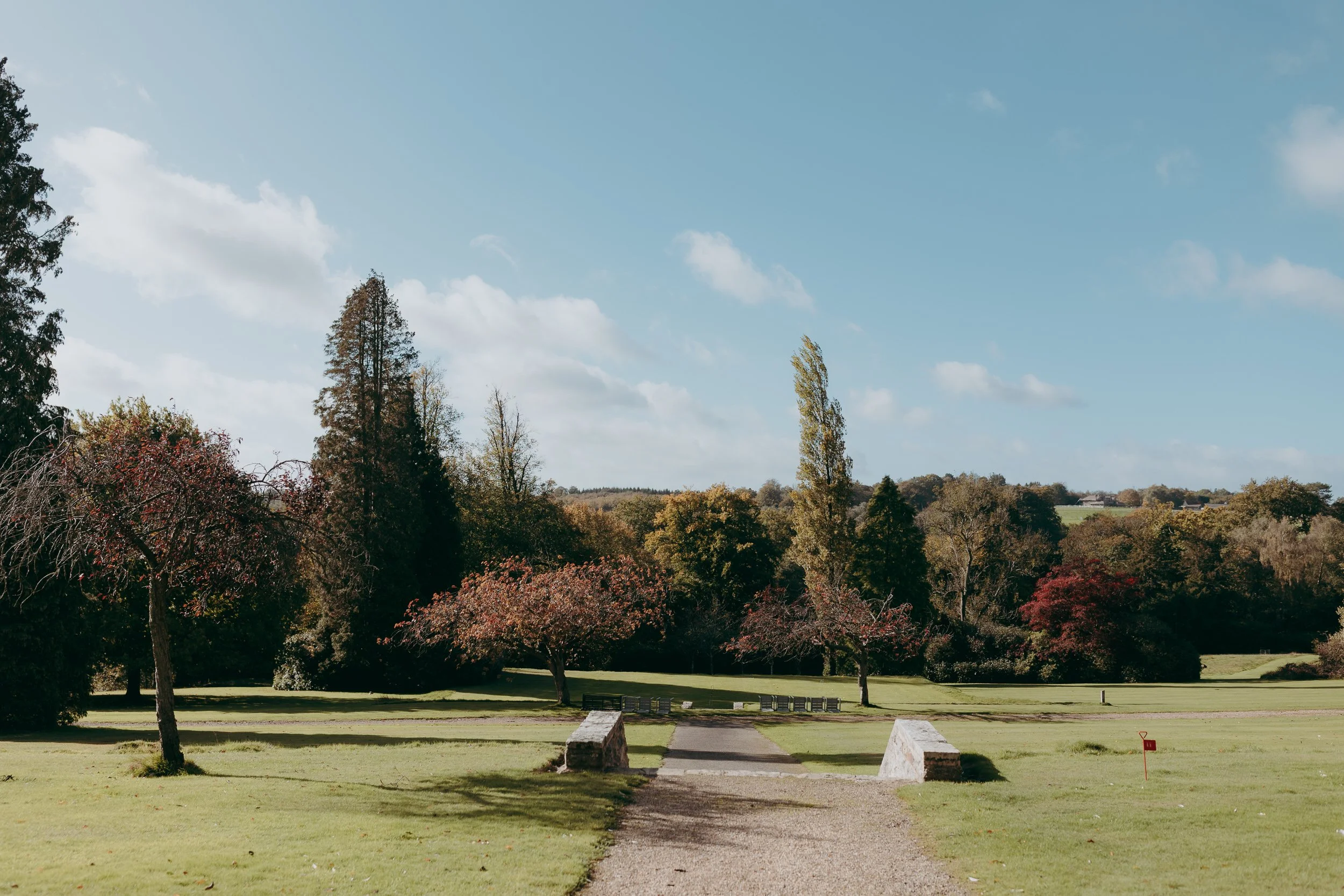 3 surrey-documentary-wedding-photographer-ashdown-park-east-grinstead-.jpg