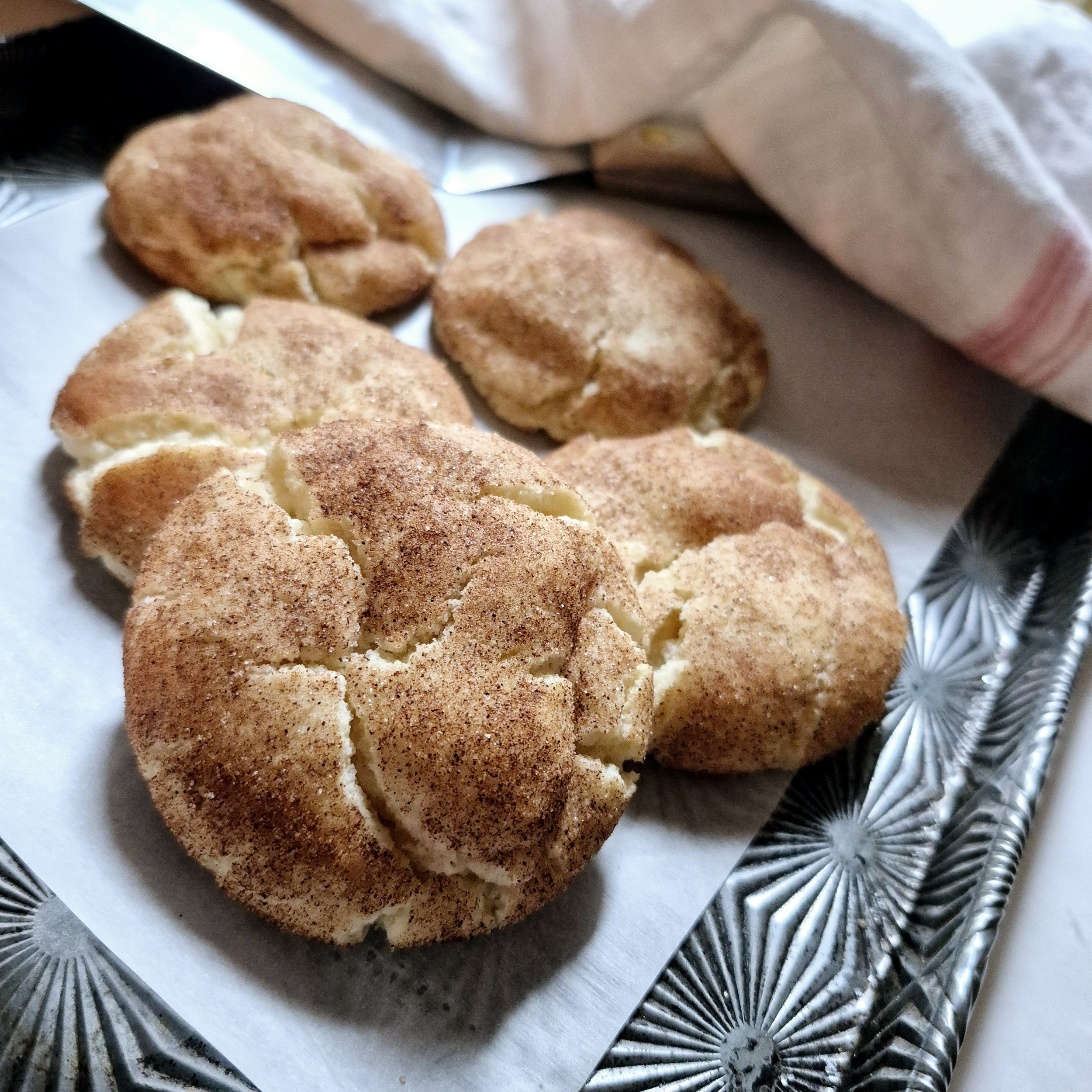 snicker-doodle.jpg