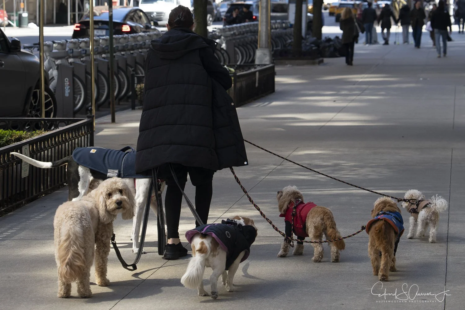 Street Scenes-New York City