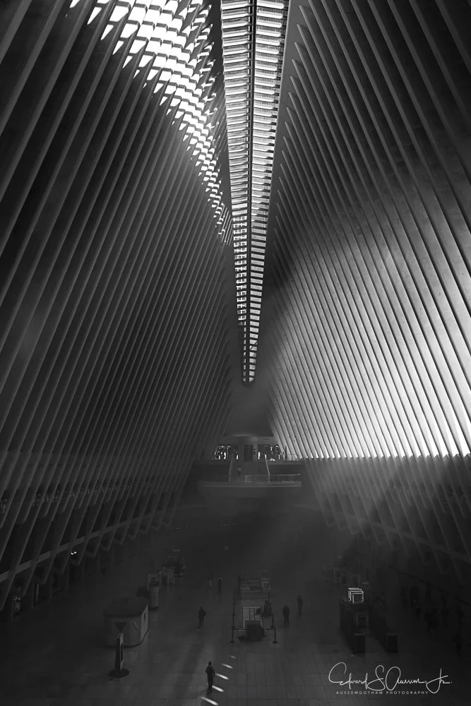 Oculus-Black and White
