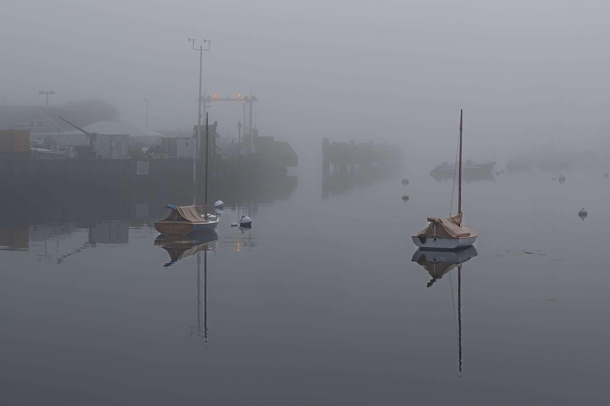 Misty Morning-Nantucket