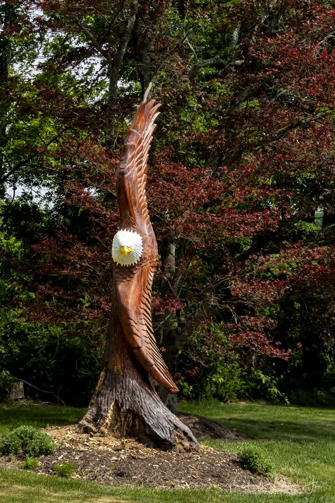 Eagle Landing