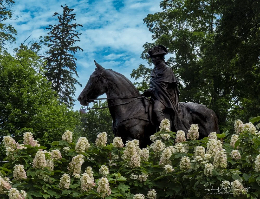 George Washington-Hydrangeas.jpg