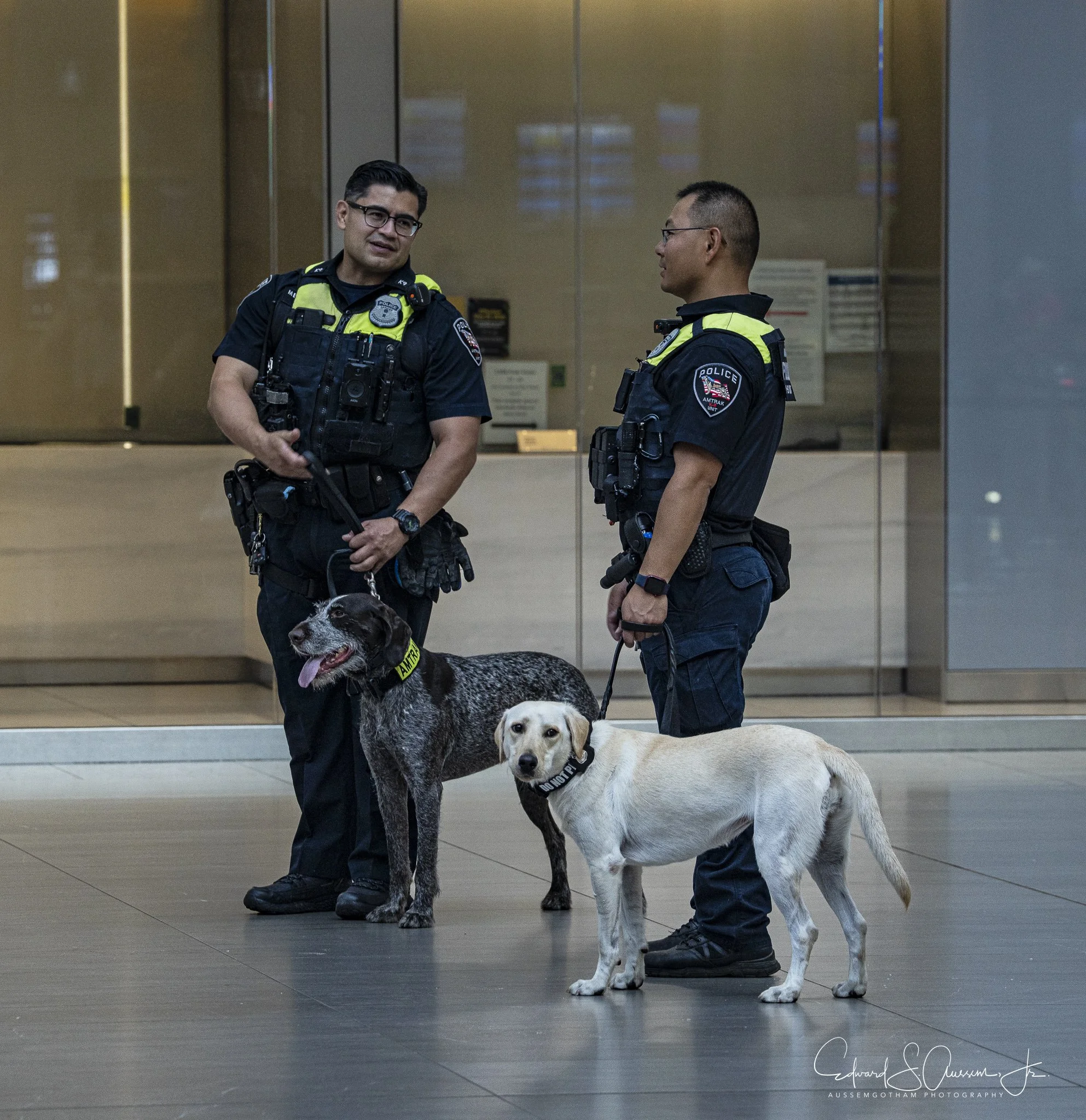 Four Legged Guardians