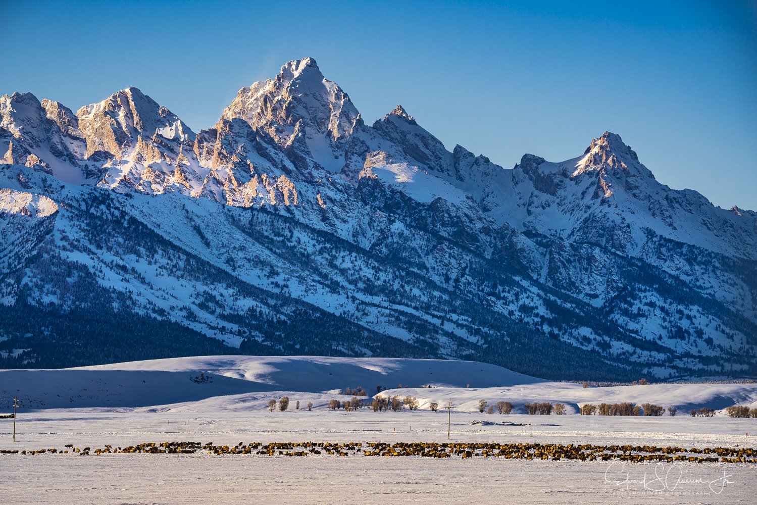 Grand Tetons