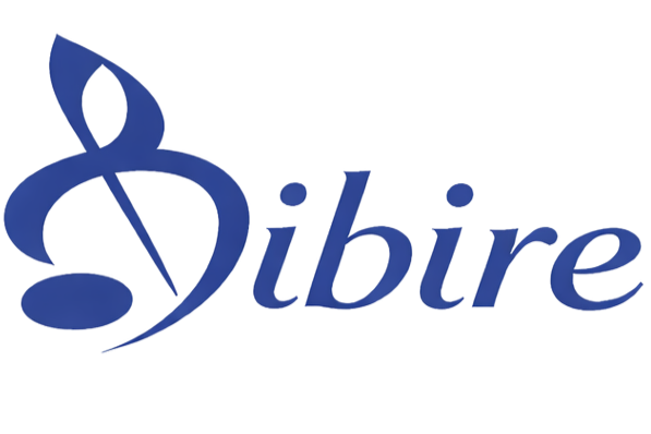 Bibire Music