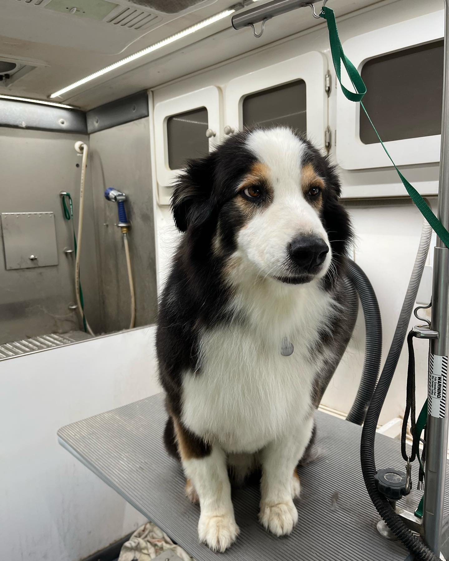 It&rsquo;s almost Friday! Which means it&rsquo;s almost the weekend&hellip;. check out our new hours in our bio! If you have any questions, please send us an email. 😃

#mobiledoggrooming #mobilegroomerlife #doggrooming #doggroomer #doggram #dogsofin